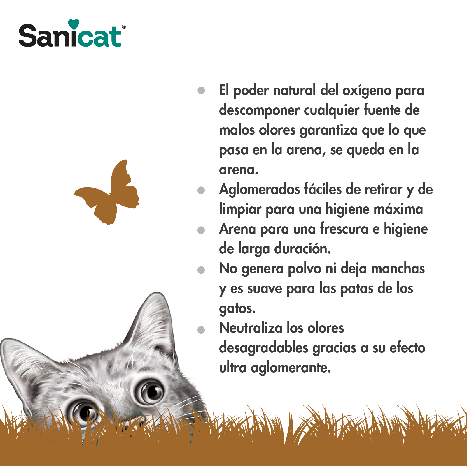 SANICAT BENTONITA AGLOMERANTE CLUMPING AROMA ACTIVE GOLD 6 LT