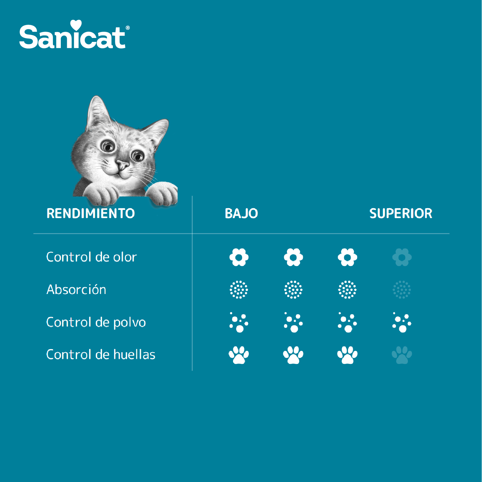 SANICAT SEPIOLITA ABSORVENTE CLASSIC AROMA LAVANDA SUPERPLUS 10 LTS (6.25KG)