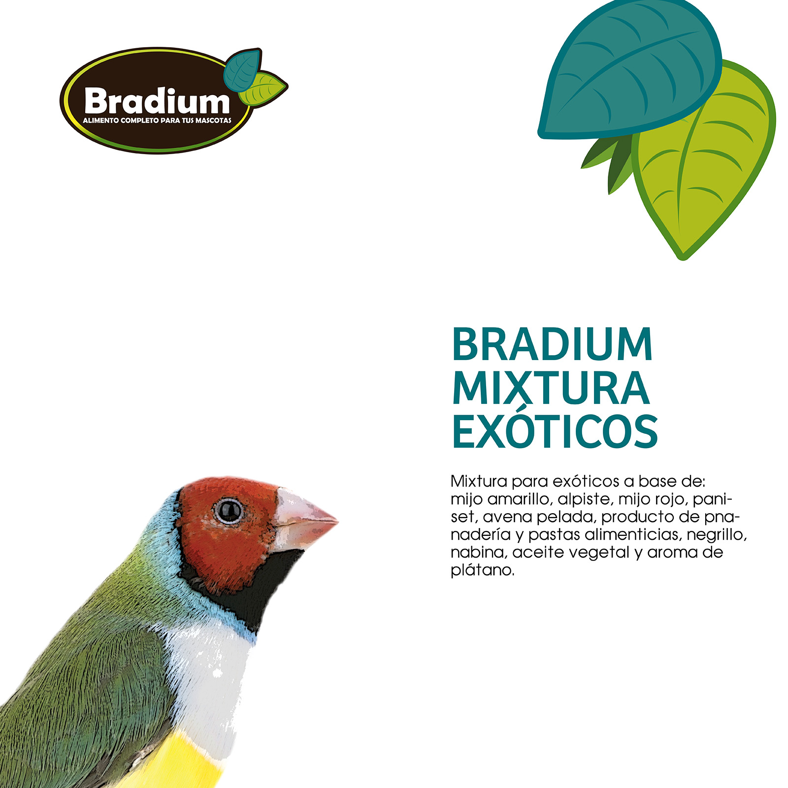 BRADIUM MIXTURA EXÓTICOS BOLSA 900 gr. aprox.