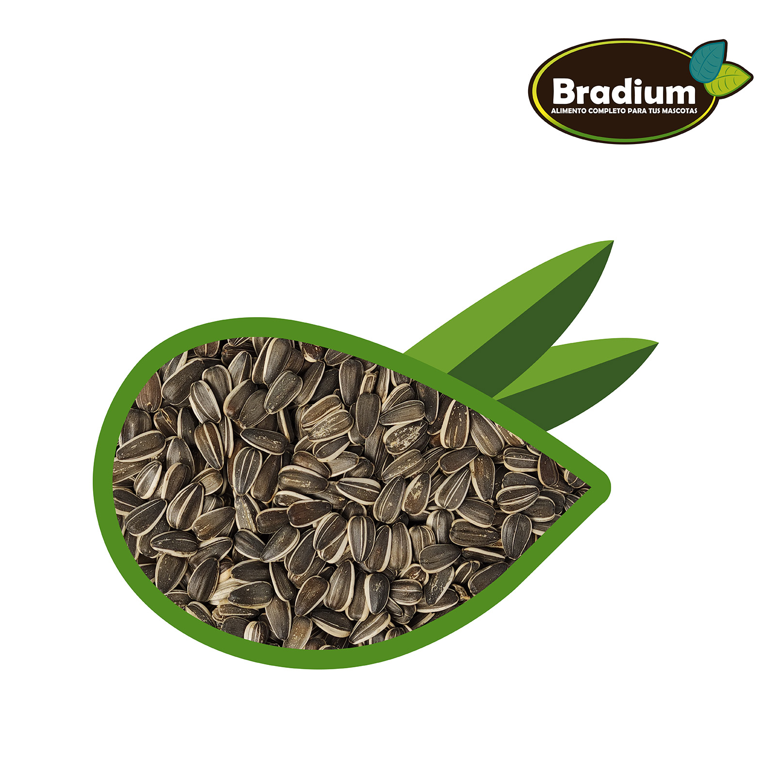 BRADIUM PIPAS PARA LOROS