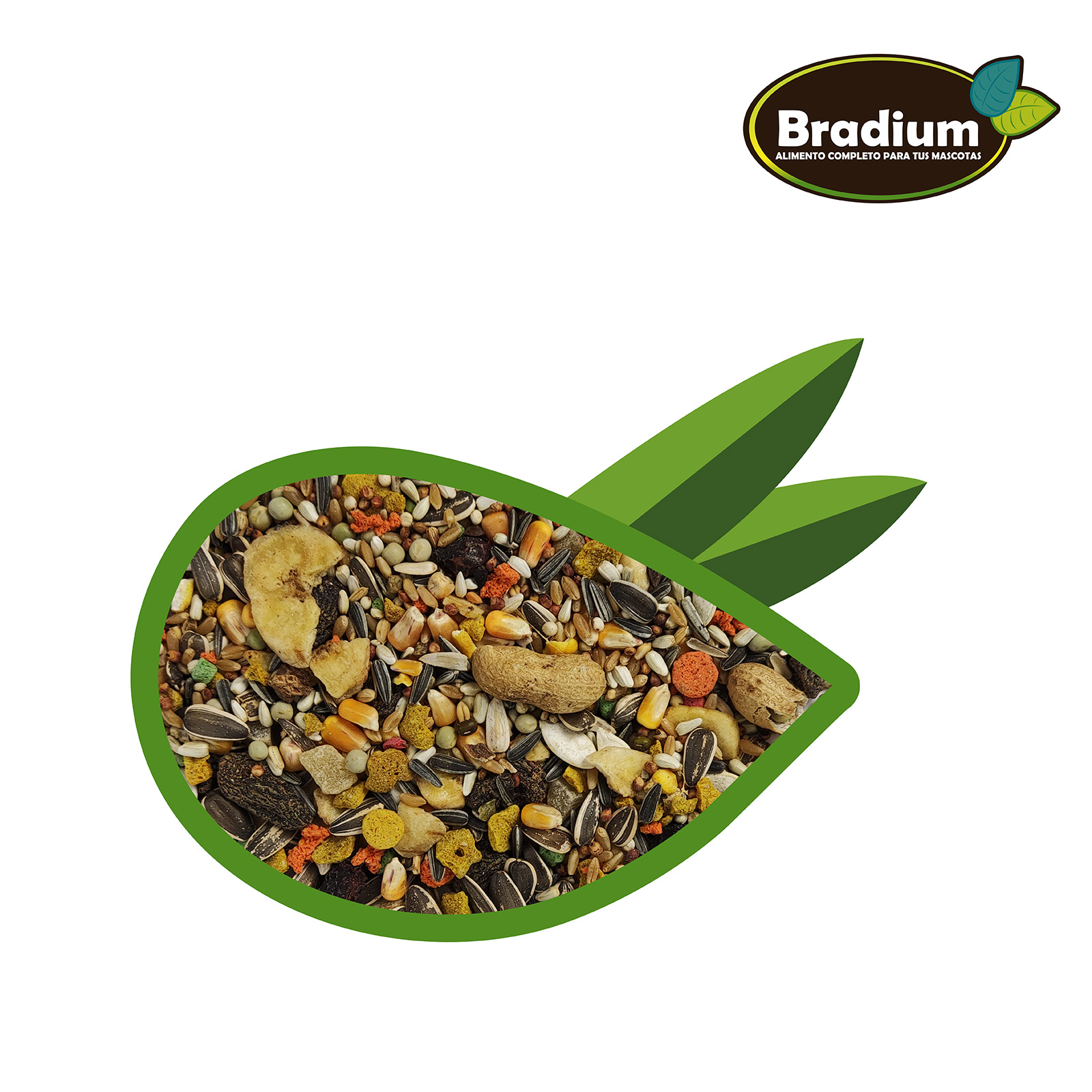 BRADIUM MIXTURA LOROS Y GUACAMAYOS CON FRUTA