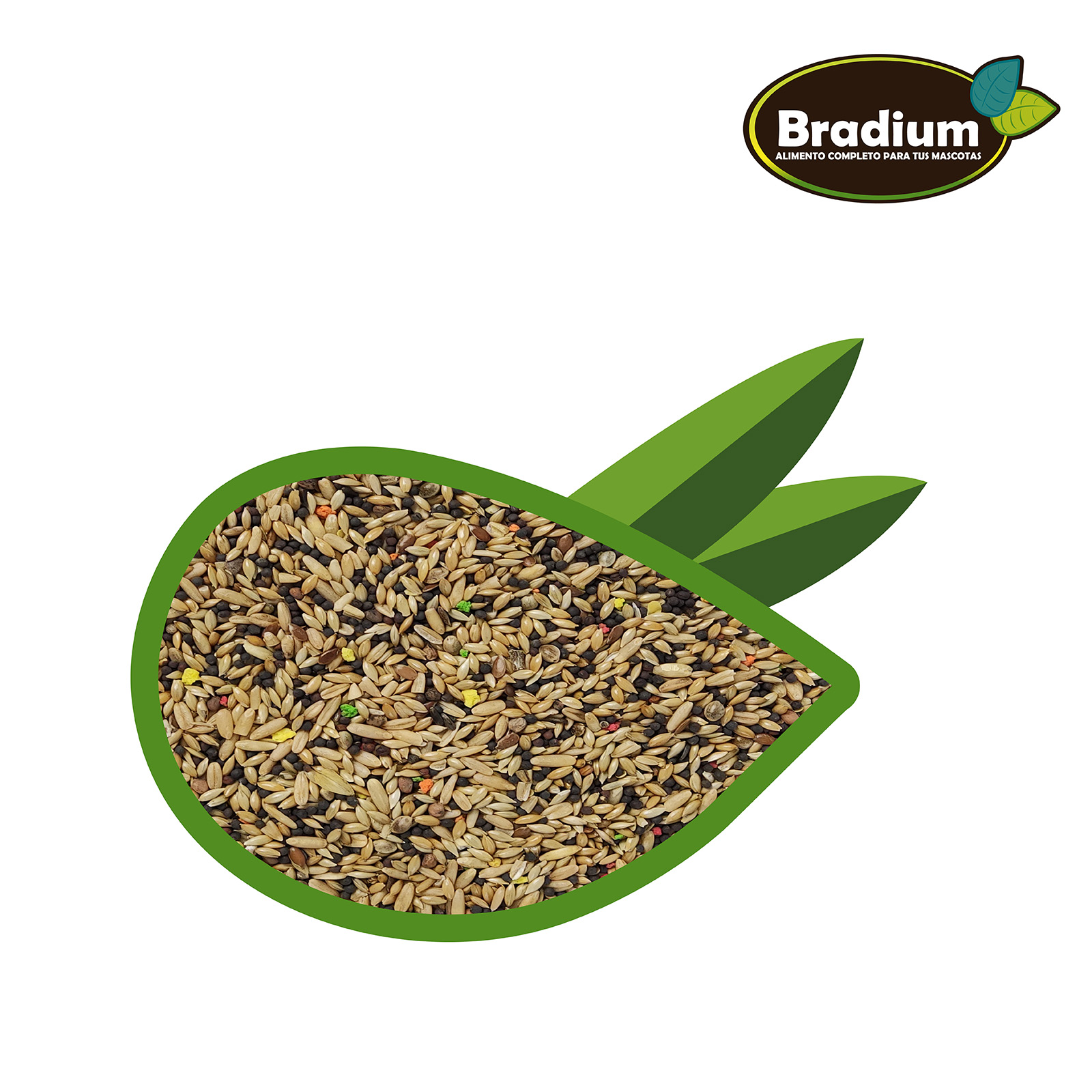 BRADIUM MIXTURA CANARIO