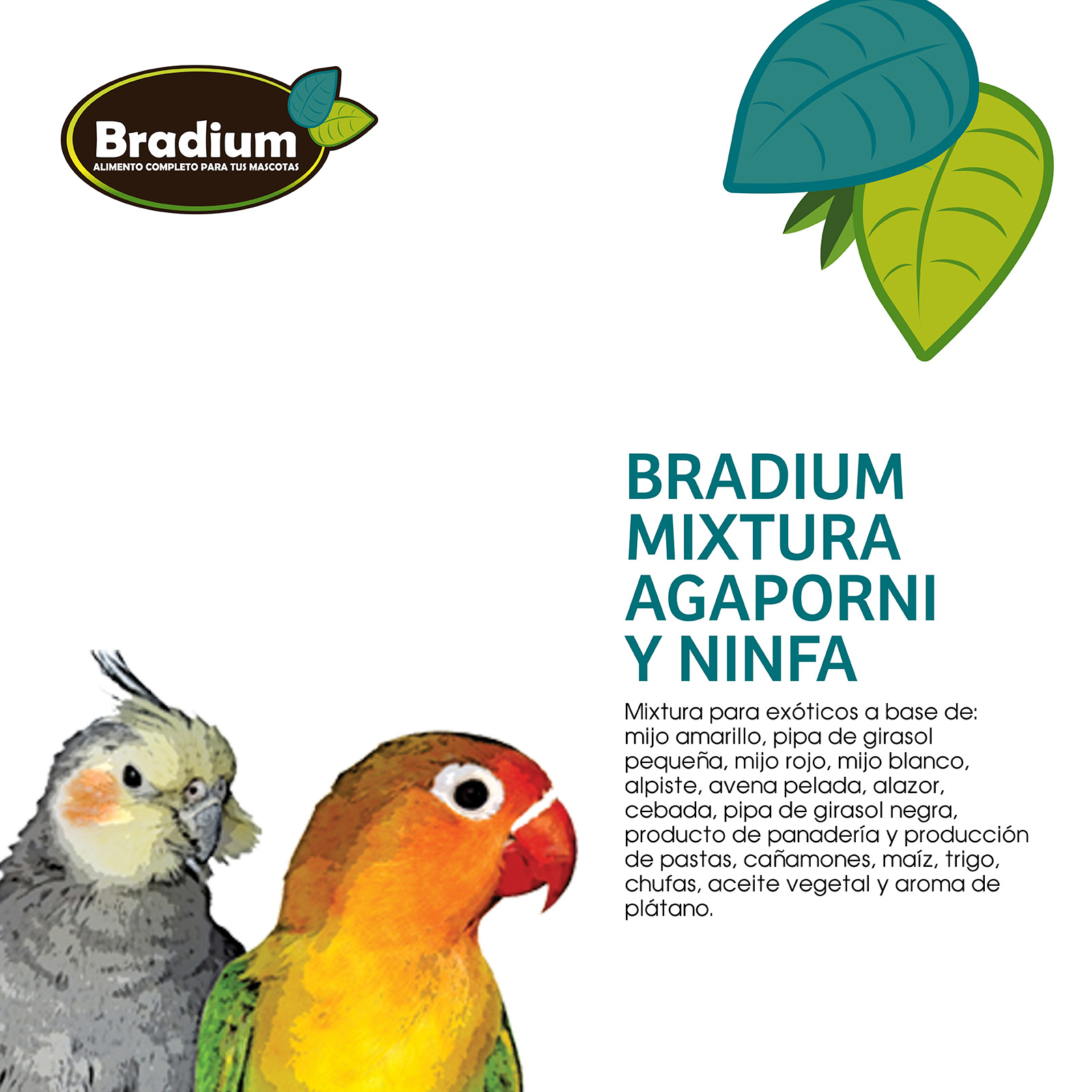 BRADIUM MIXTURA AGAPORNIS Y NINFAS