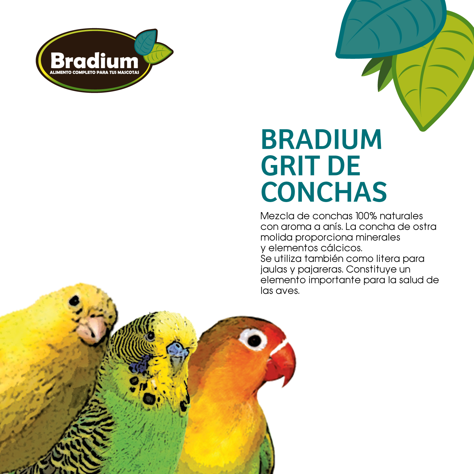 BRADIUM GRIT DE CONCHAS PARA AVES BOTE 1500 gr. aprox.