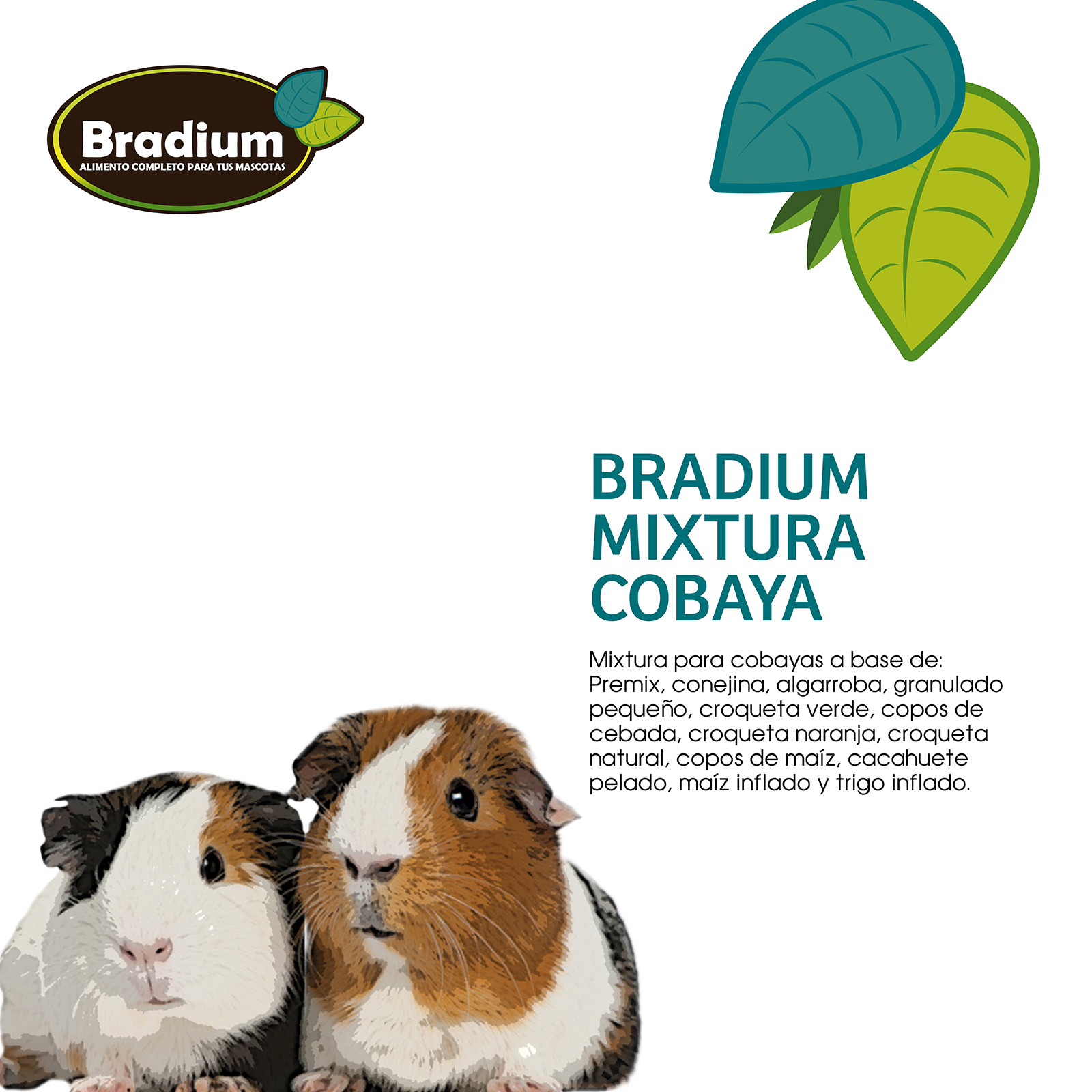 BRADIUM MIXTURA COBAYAS