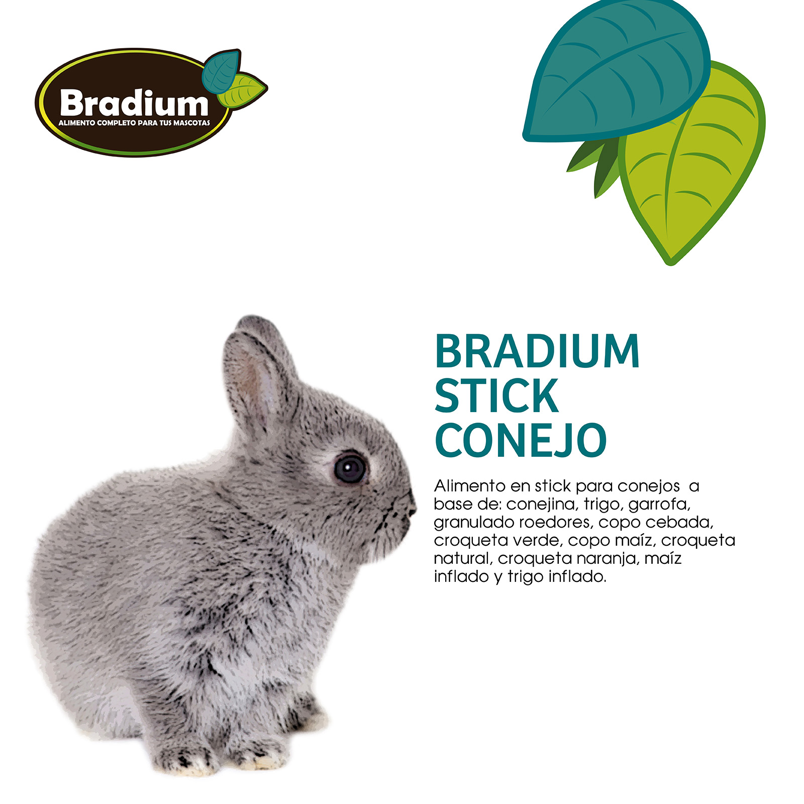 BRADIUM STICKS CONEJO ENANO