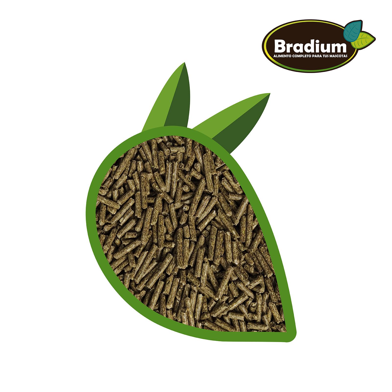 BRADIUM STICKS CONEJO ENANO