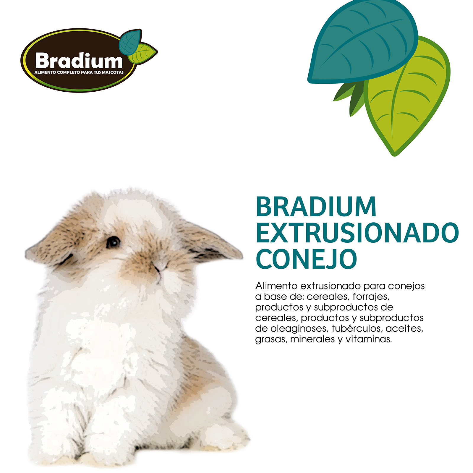 BRADIUM EXTRUSIONADO CONEJO ENANO