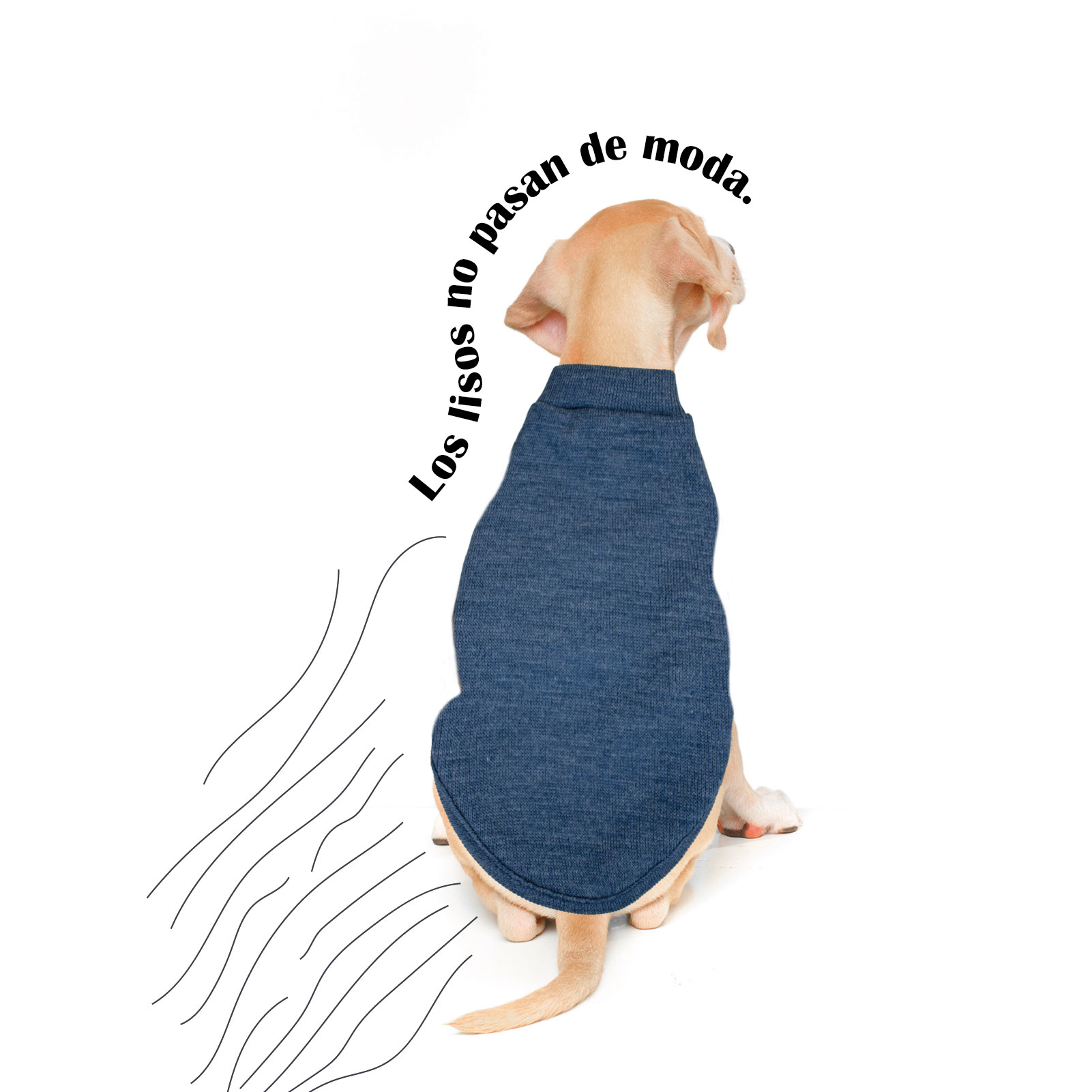 MI&amp;DOG JERSEY LISO JEANS