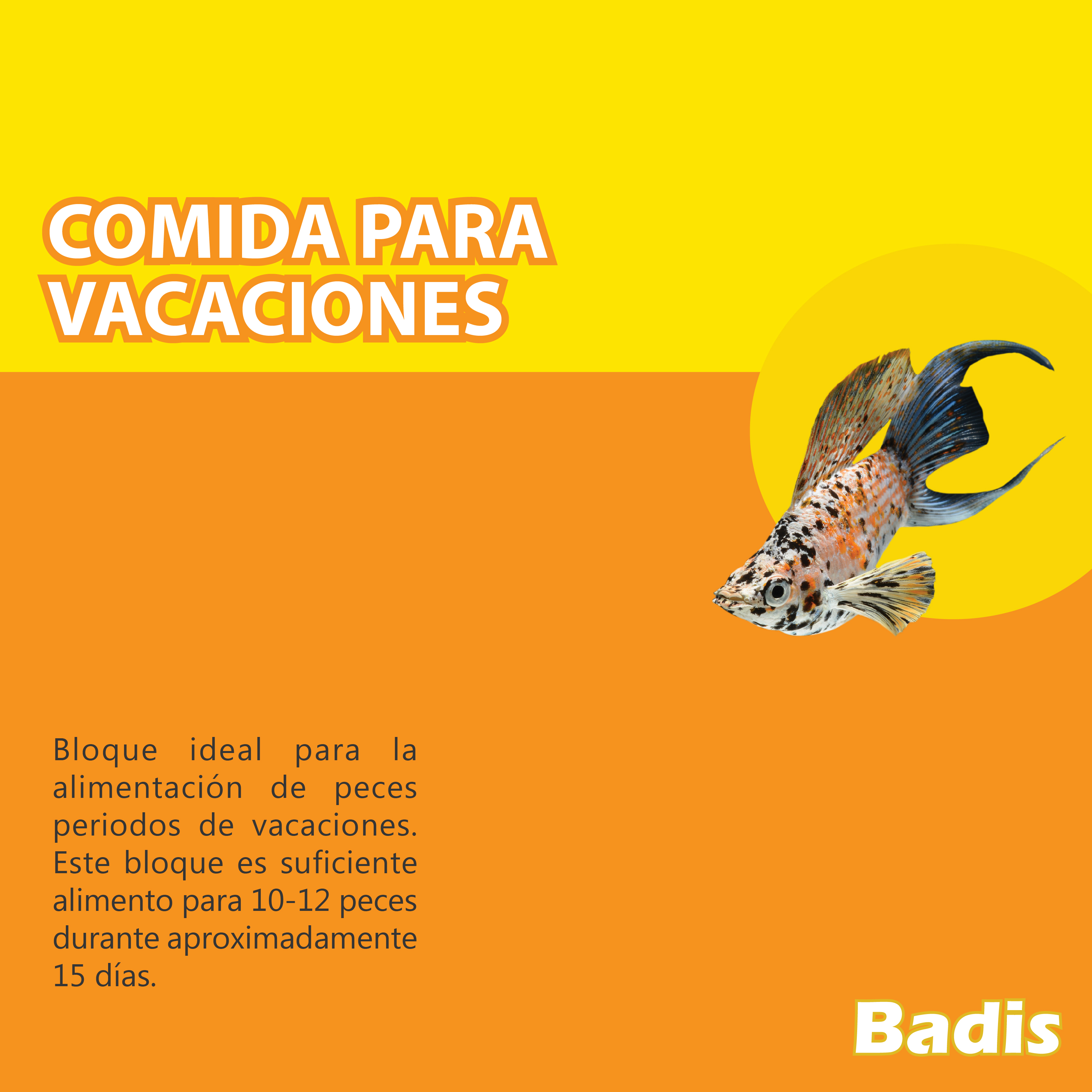 BADIS BLOQUE VACACIONES