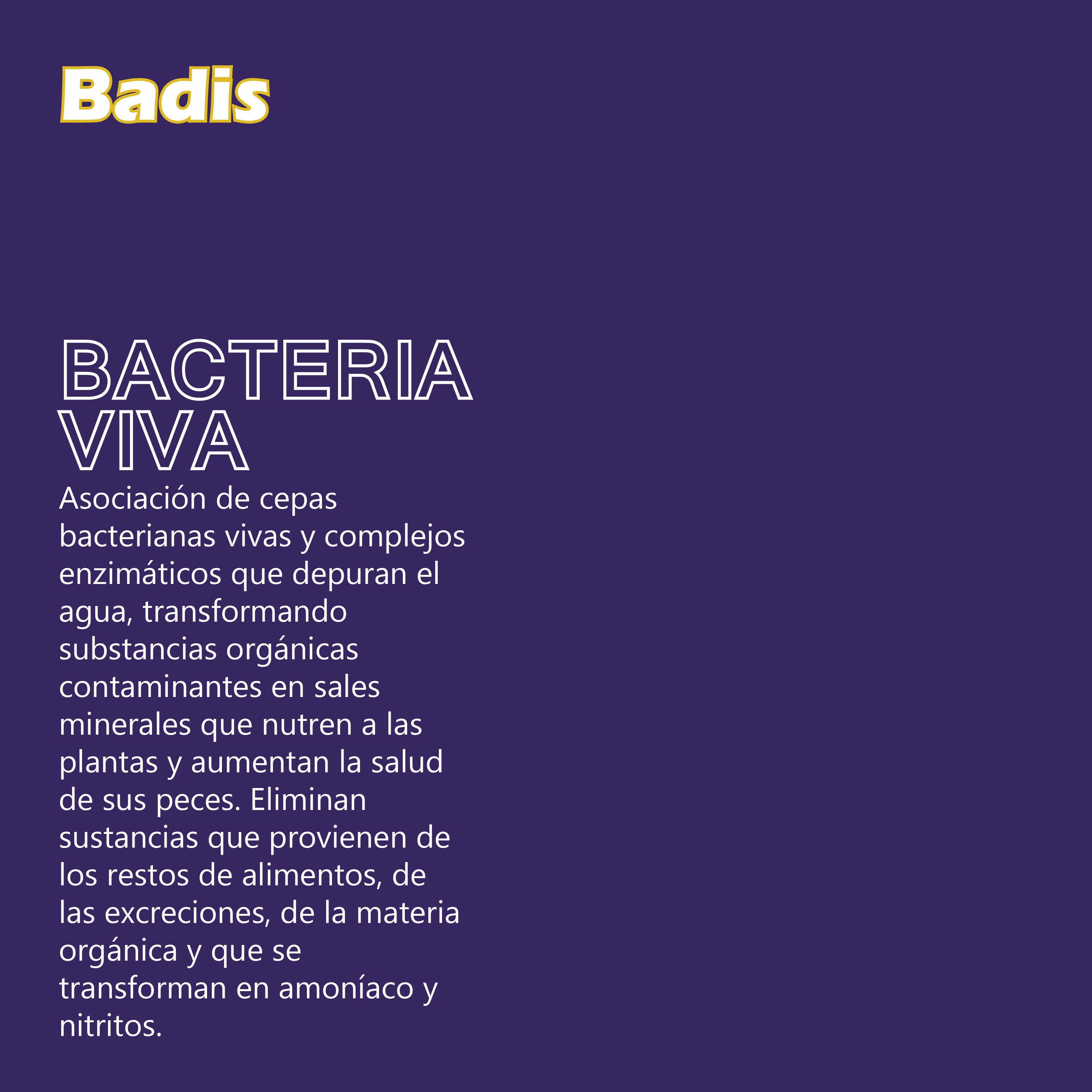 BADIS BACTERIA VIVA