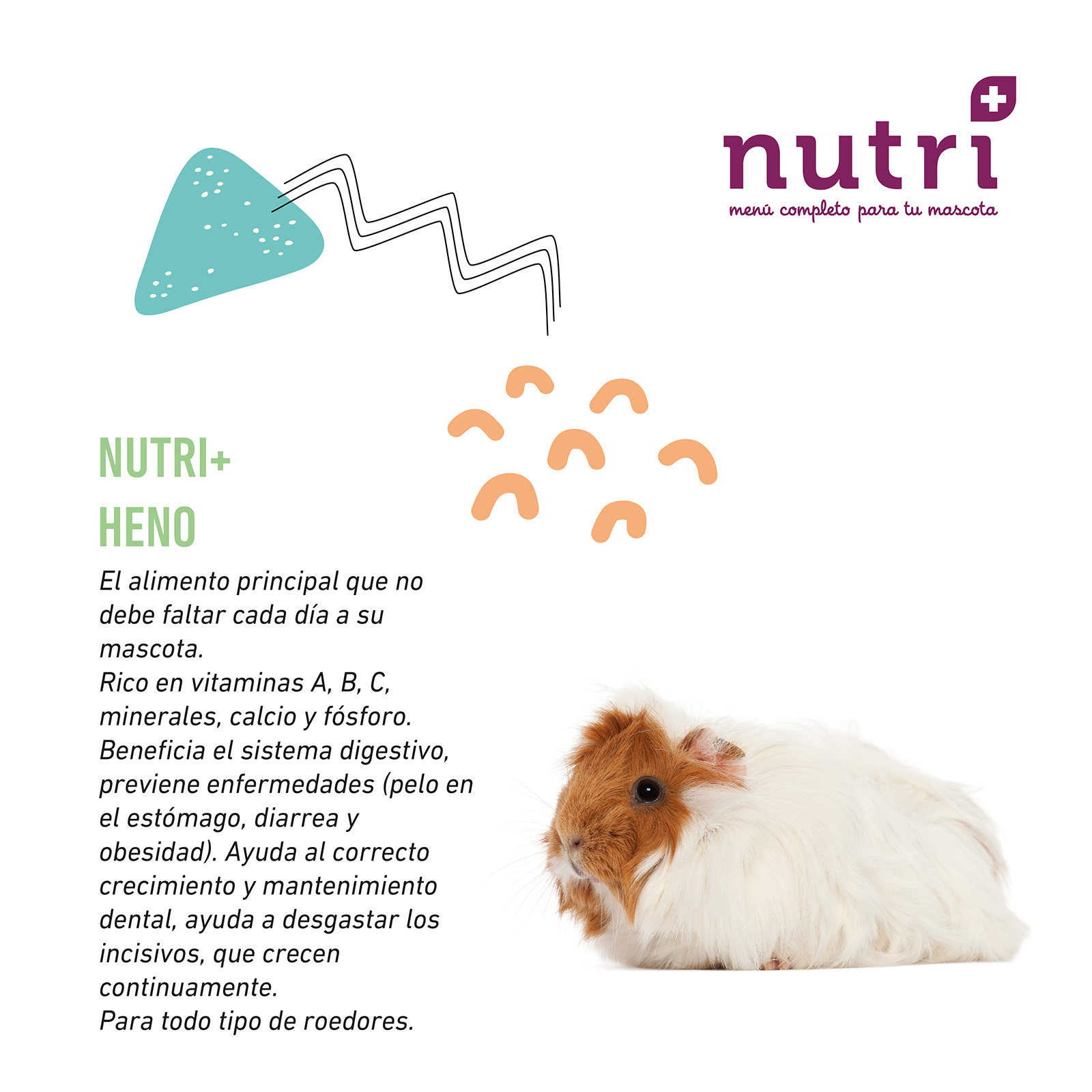 NUTRI+ HENO 1 KG