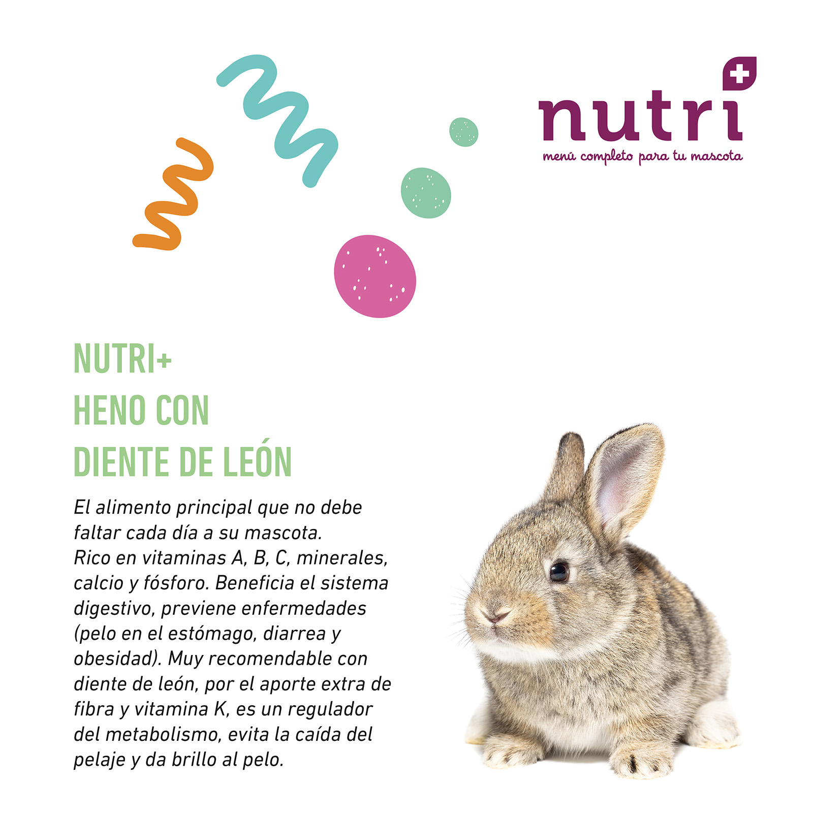 NUTRI+ HENO CON DIENTE DE LEON 500 GR
