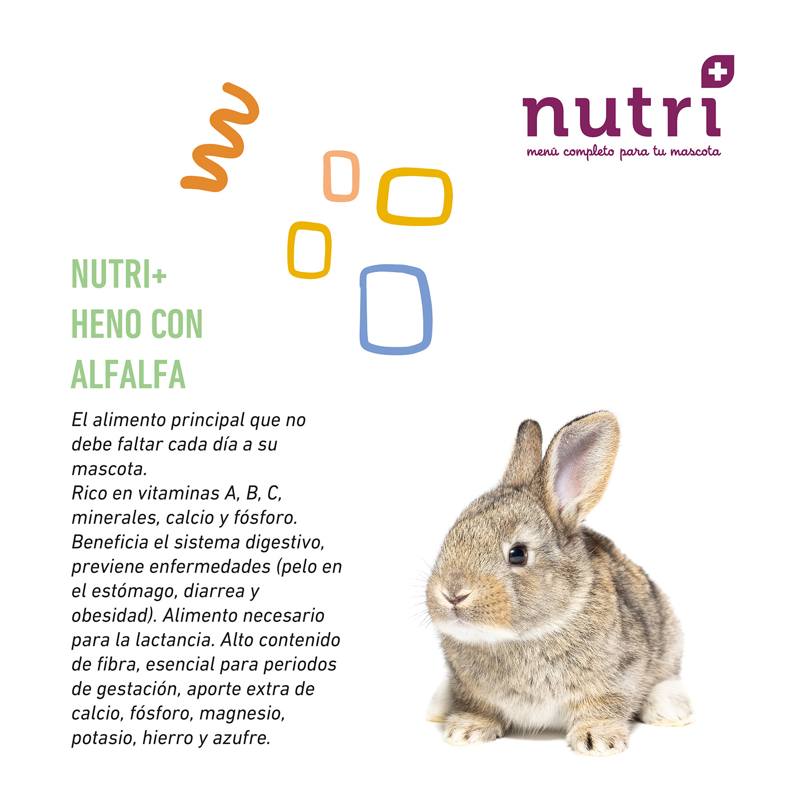 NUTRI+ HENO CON ALFALFA 500 GR