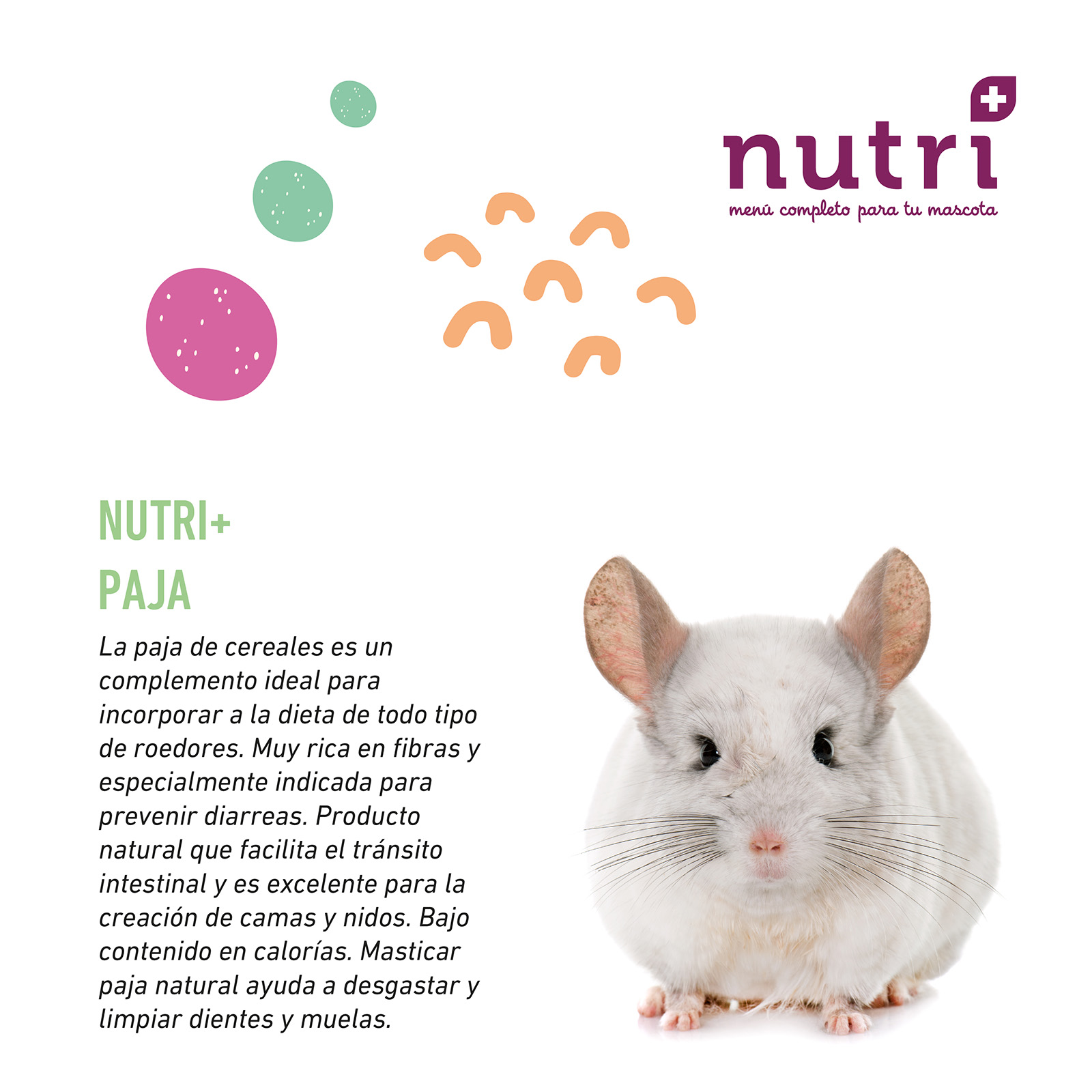 NUTRI+ PAJA 1 KG