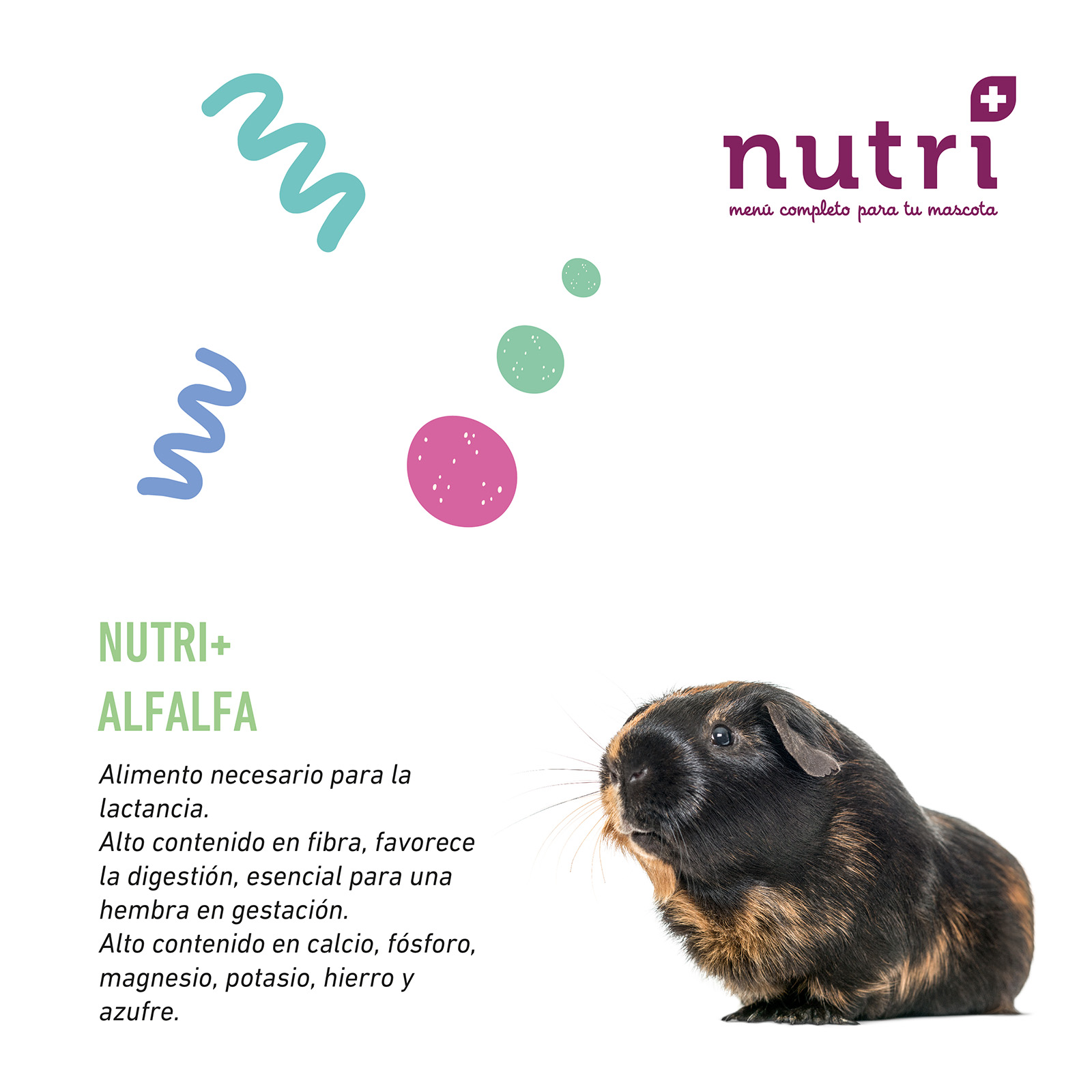 NUTRI+ ALFALFA 1KG