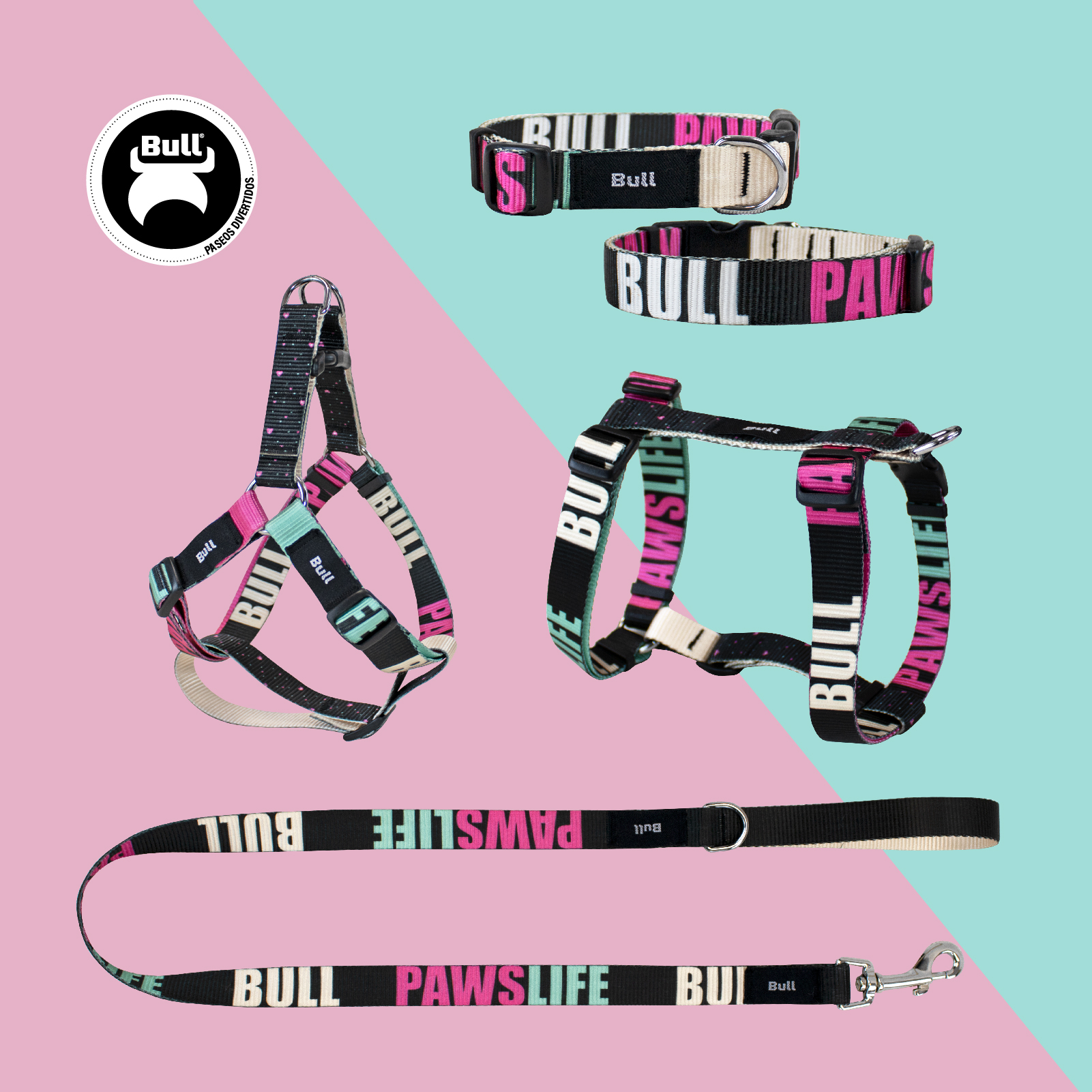 BULL COLLAR NYLON COLECCION PAWS LIFE