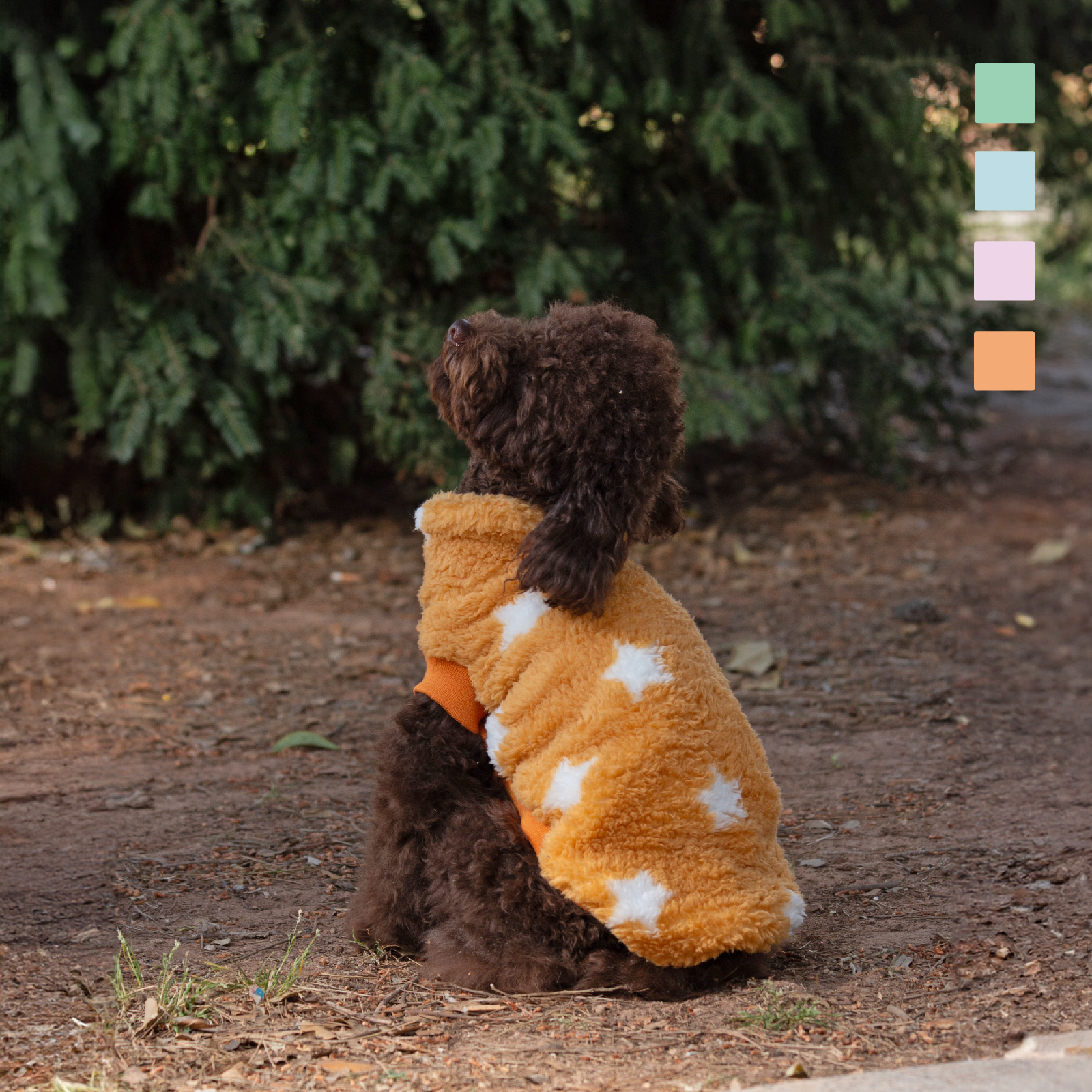 MI&amp;DOG SUDADERA COZY YELLOW STAR