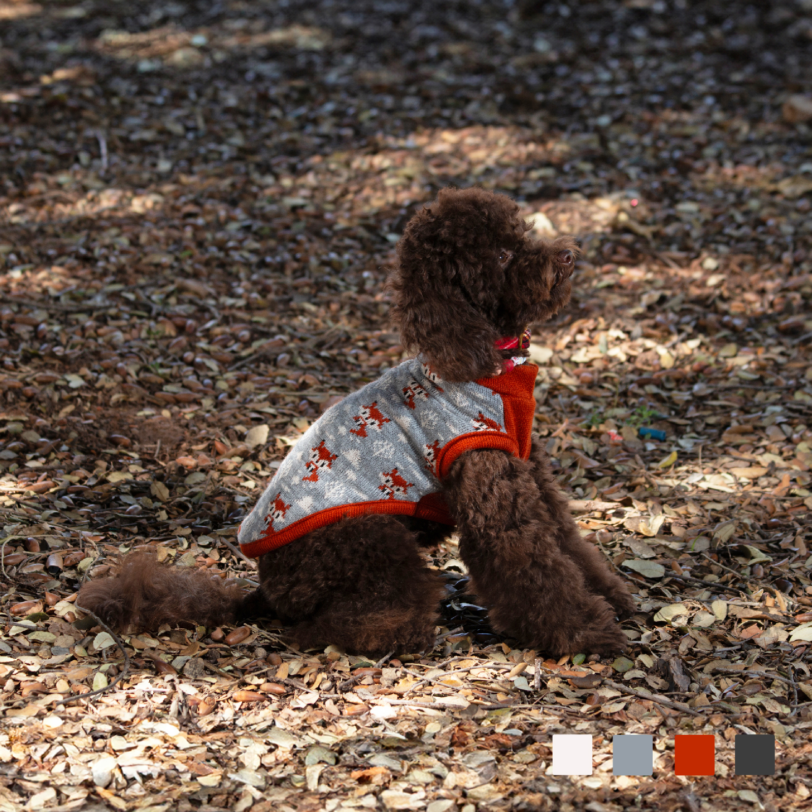 MI&amp;DOG JERSEY PUNTO ESTAMPADO FOX