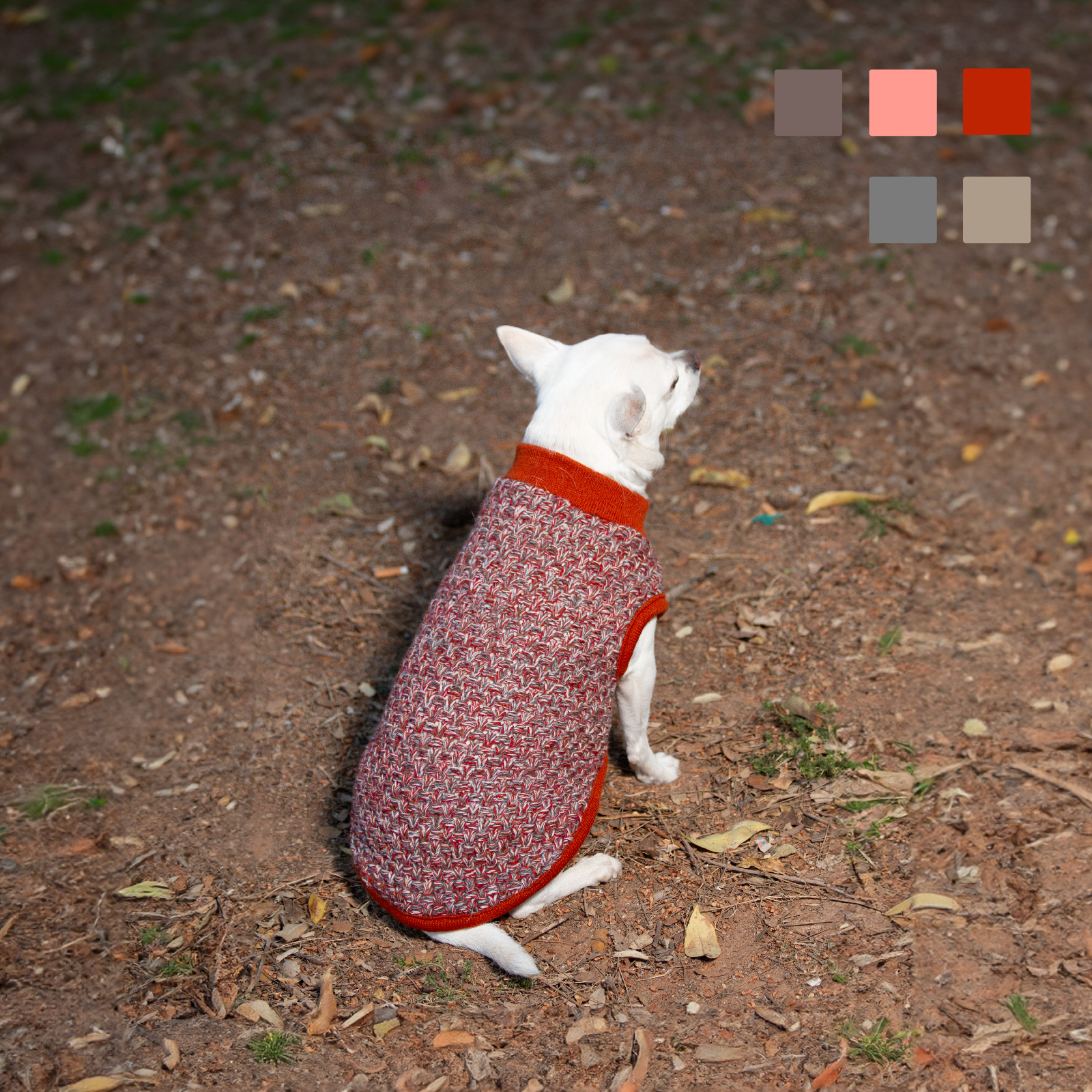 MI&amp;DOG JERSEY TRENZADO HERMES