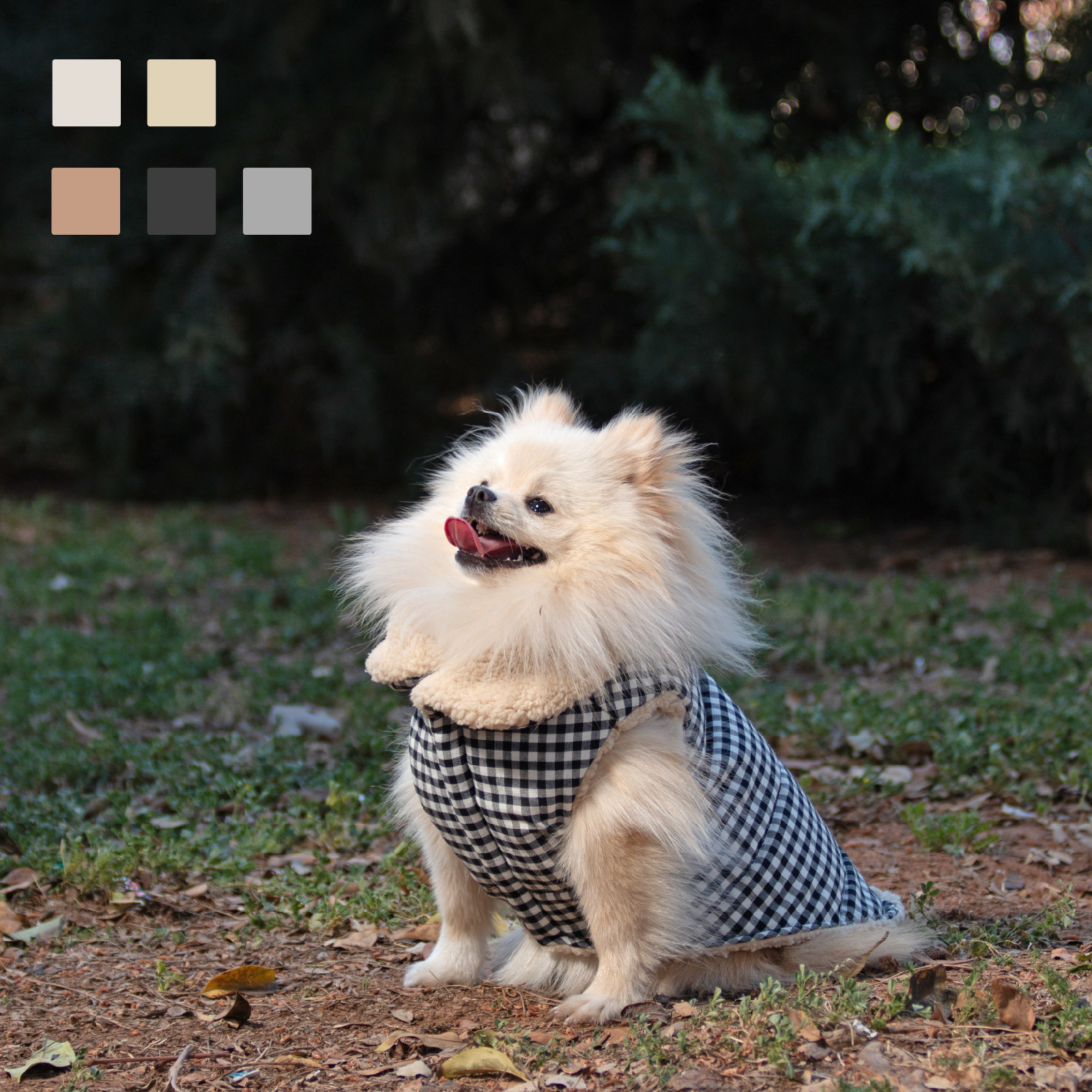 MI&amp;DOG BOMBER SQUARE