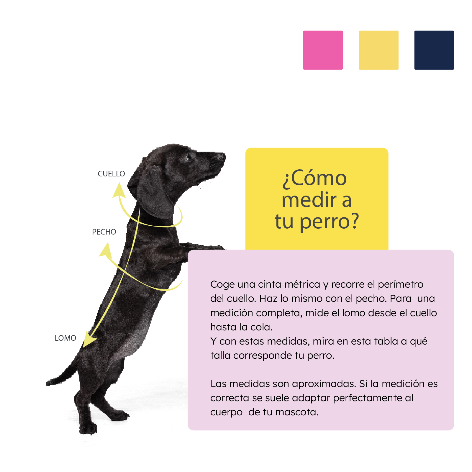 MI&amp;DOG JERSEY POLAR BICOLOR ROSA