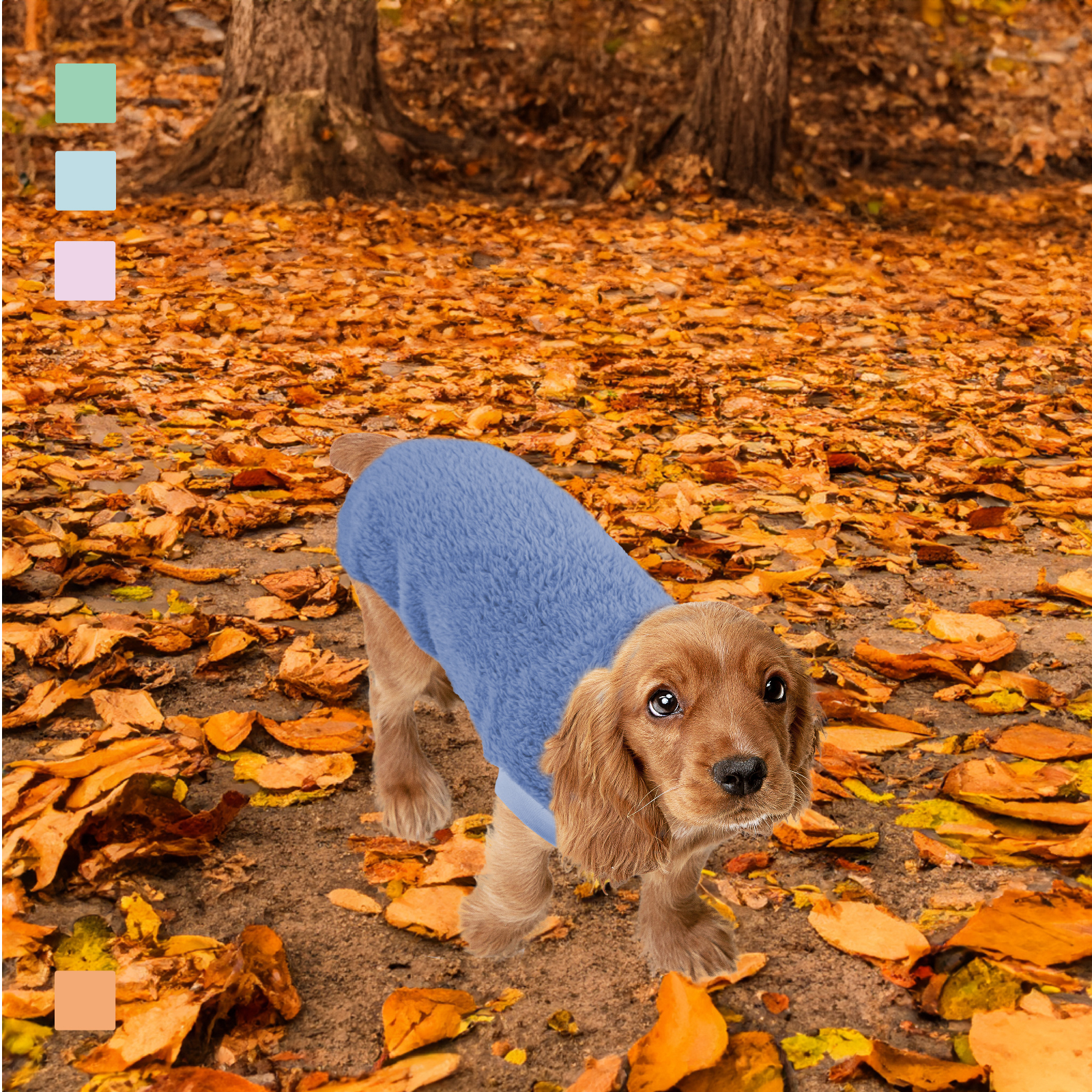 MI&amp;DOG SUDADERA COZY SKY BLUE