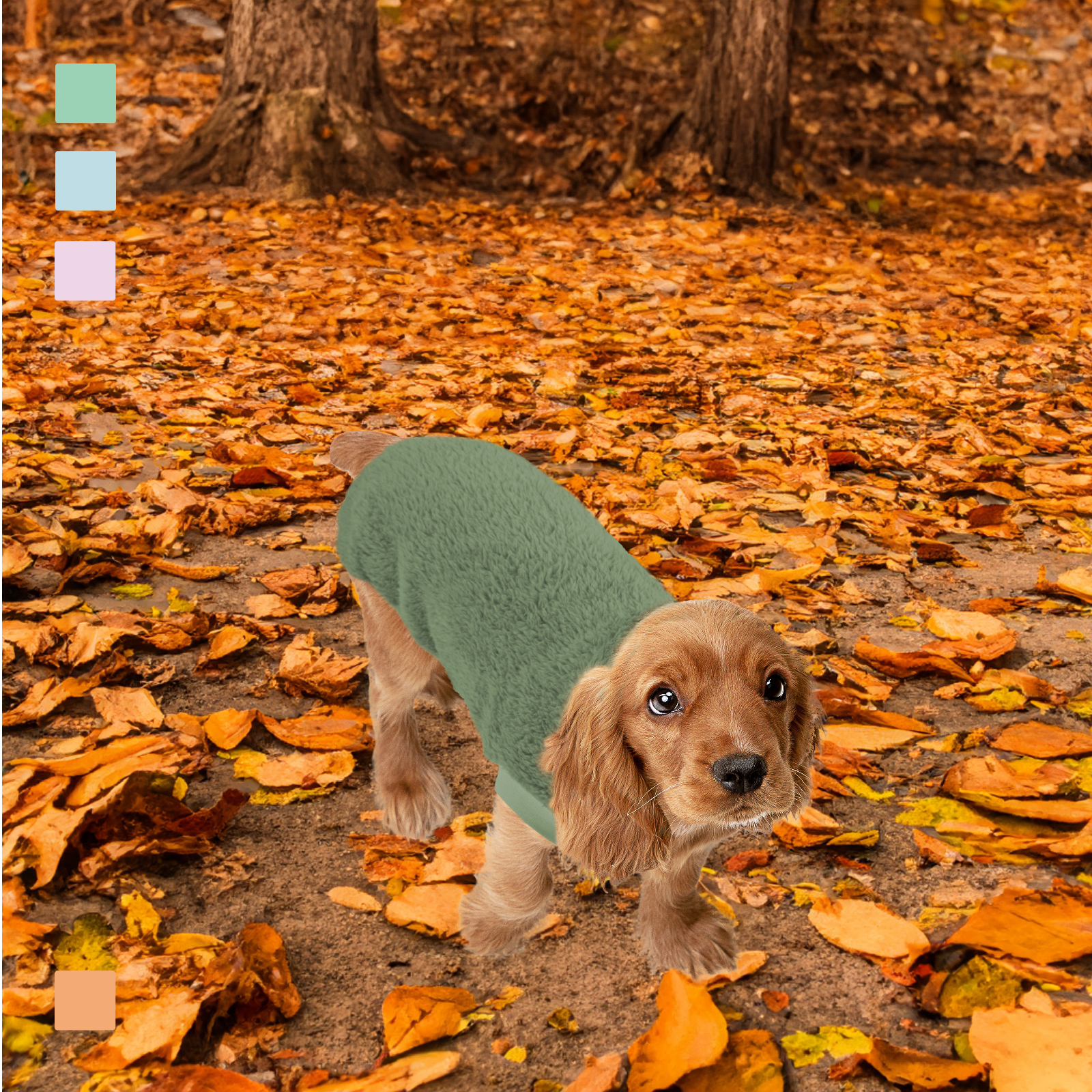 MI&amp;DOG SUDADERA COZY GREEN