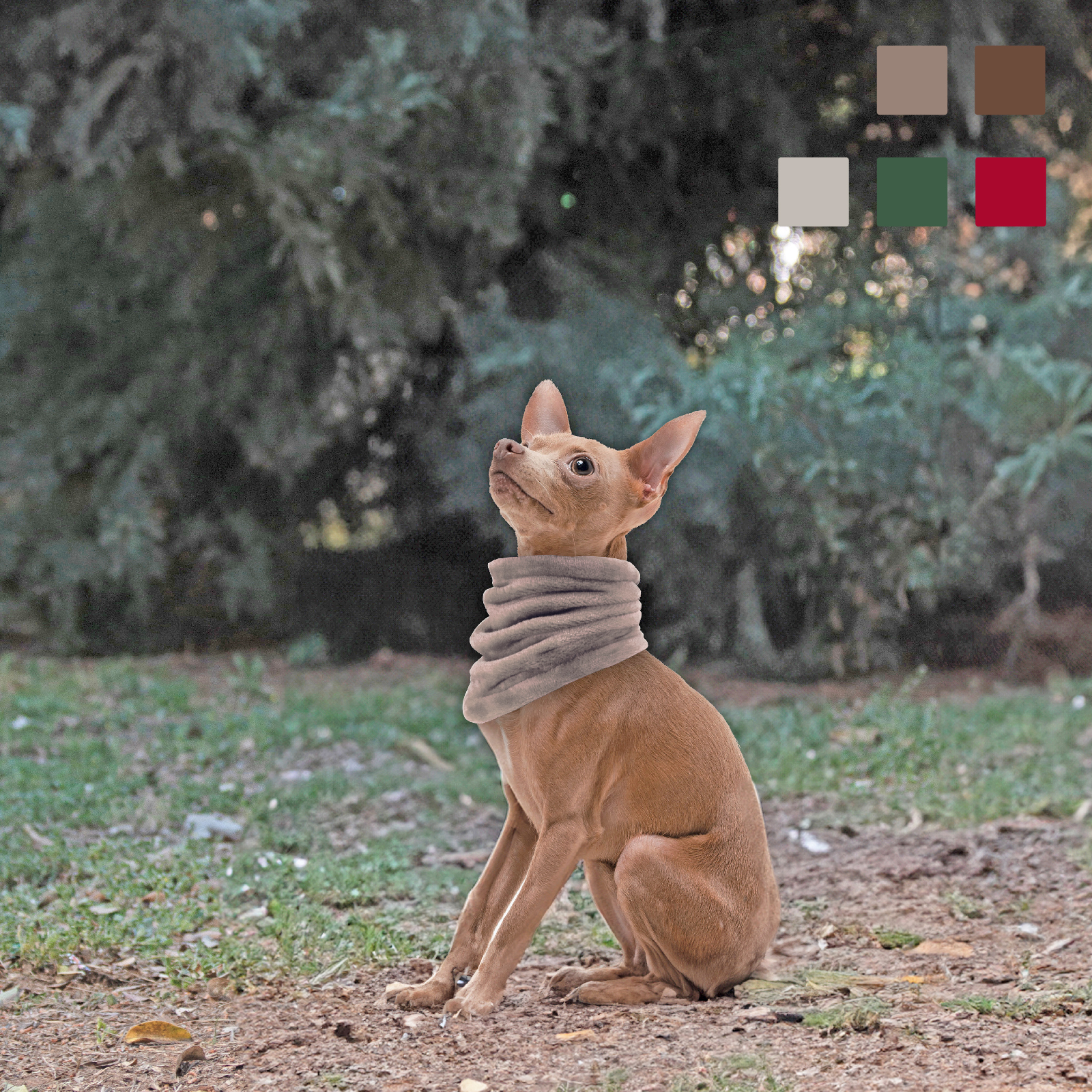 MI&amp;DOG BUFANDA BRAGA CREMA