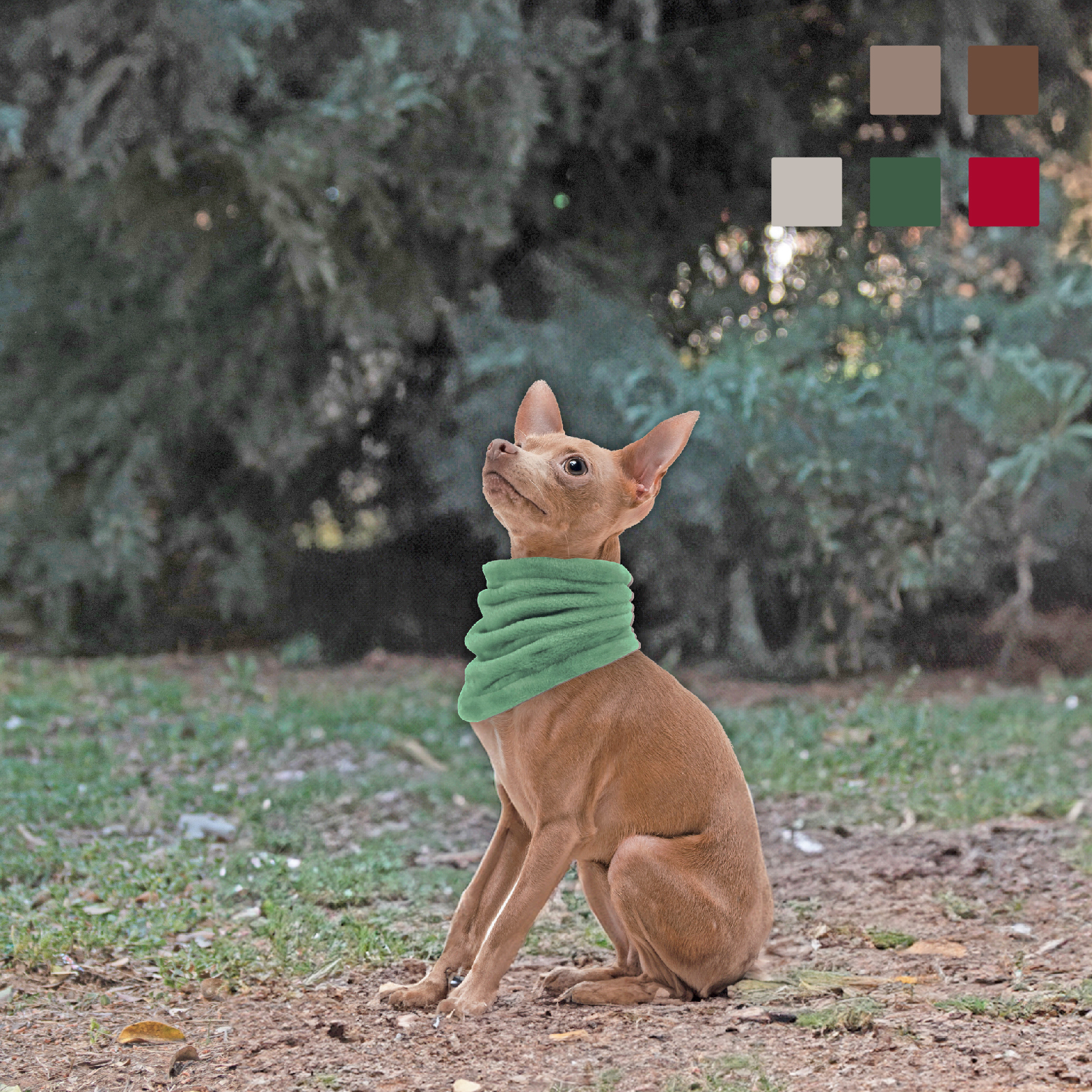MI&amp;DOG BUFANDA BRAGA VERDE