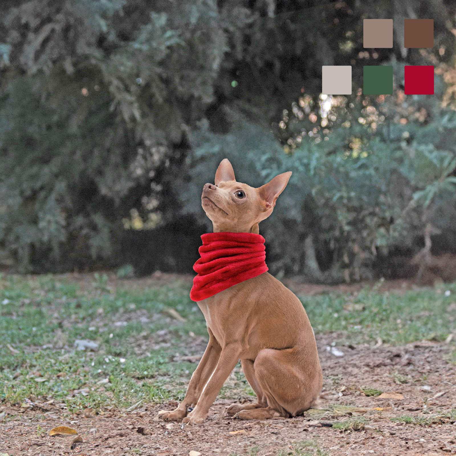 MI&amp;DOG BUFANDA BRAGA ROJA