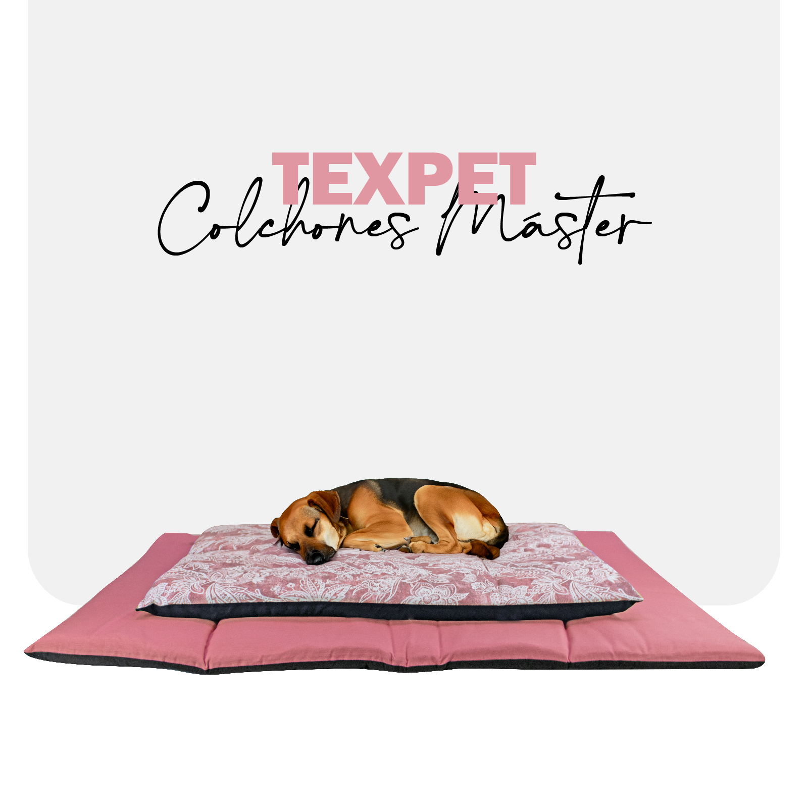 TEXPET COLCHON MASTER