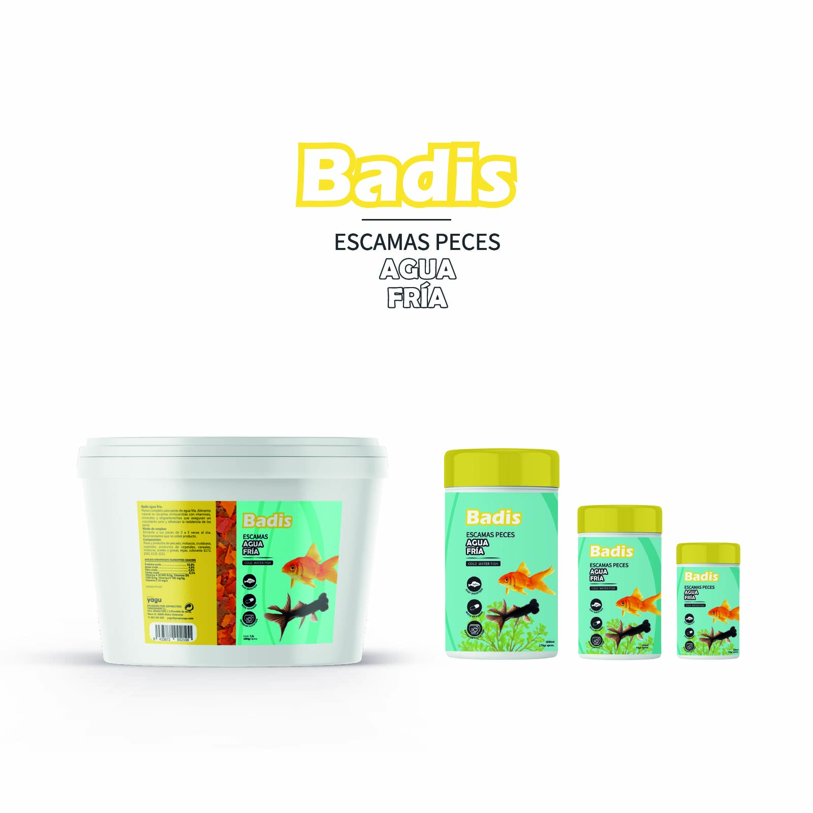 BADIS GAMMARUS