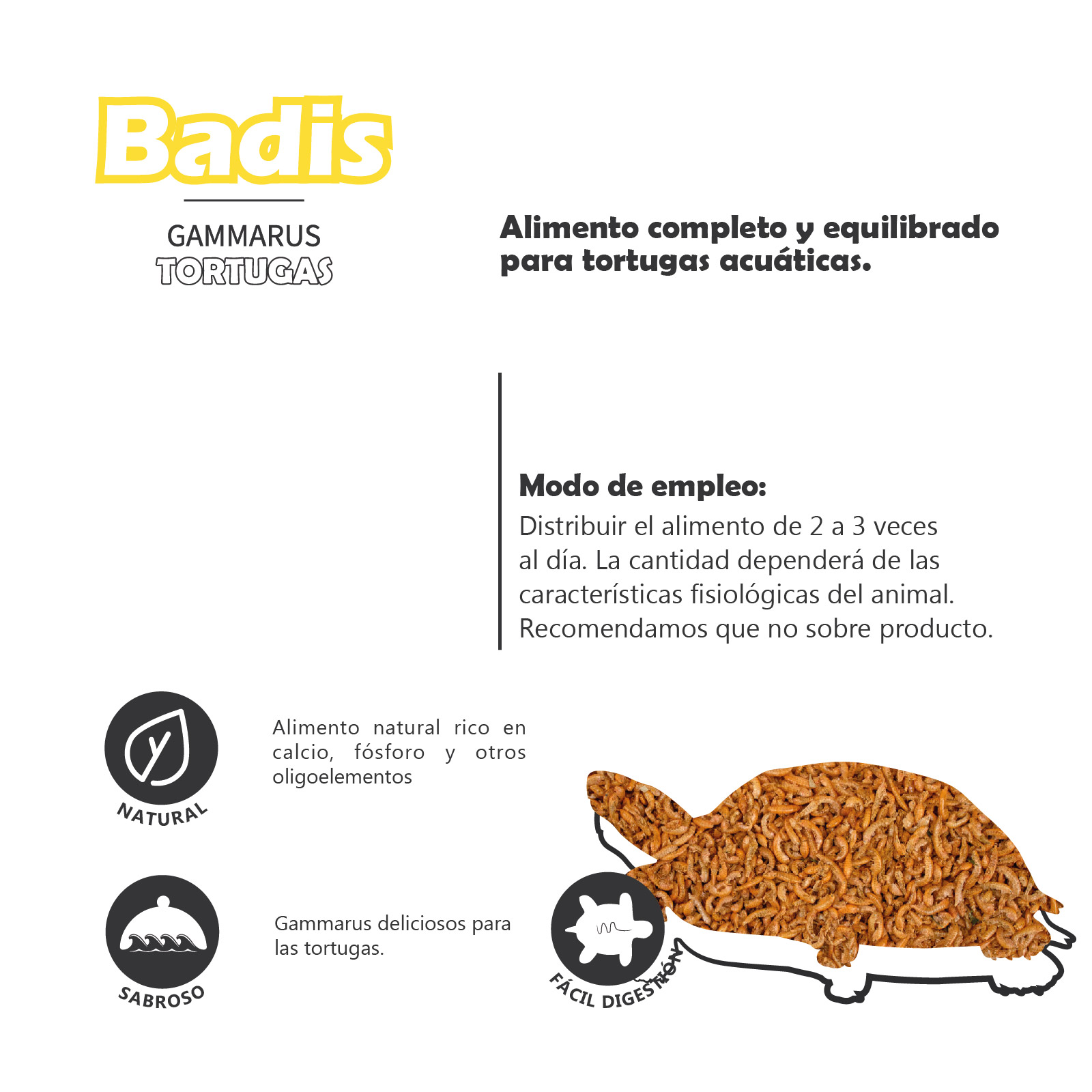 BADIS GAMMARUS