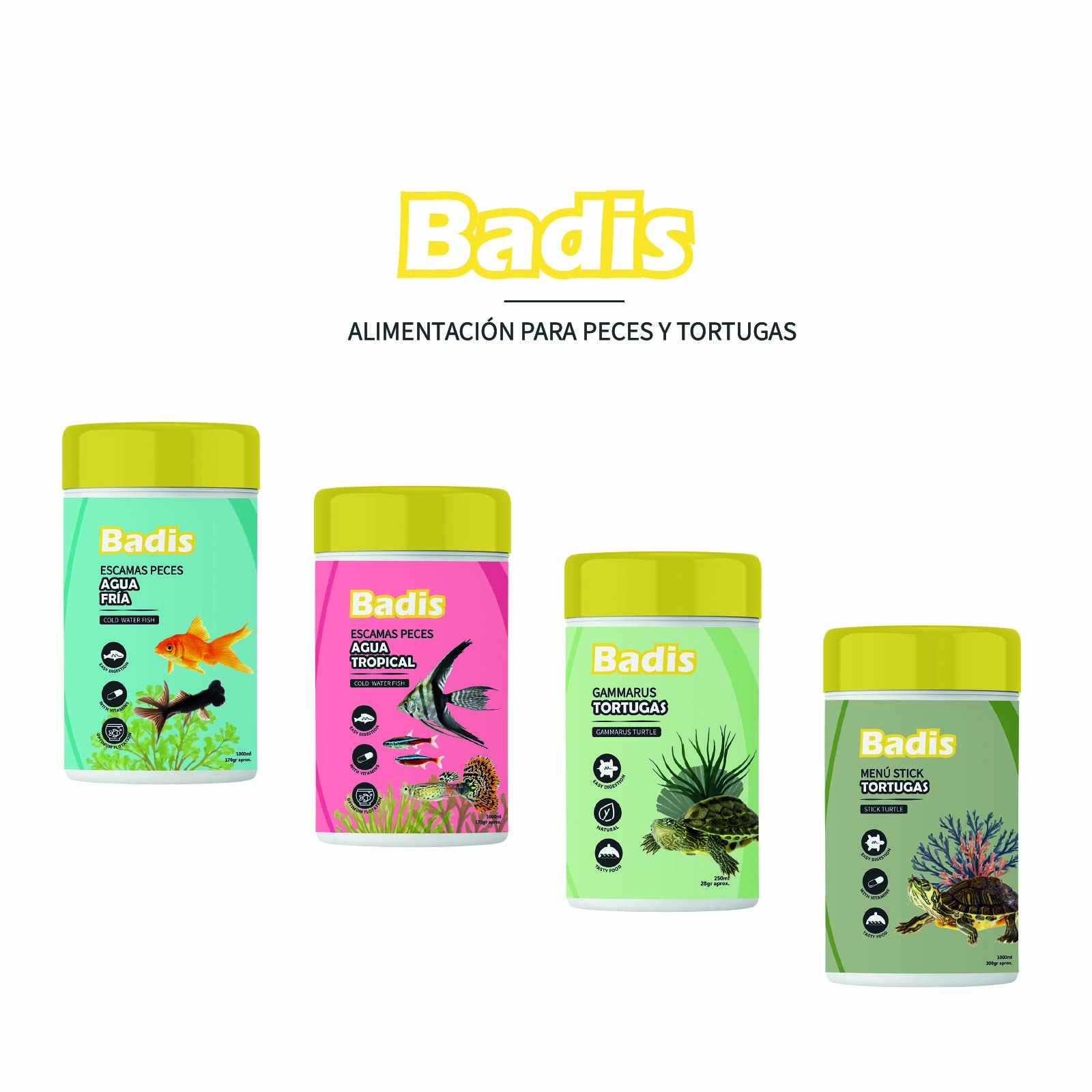 BADIS GAMMARUS
