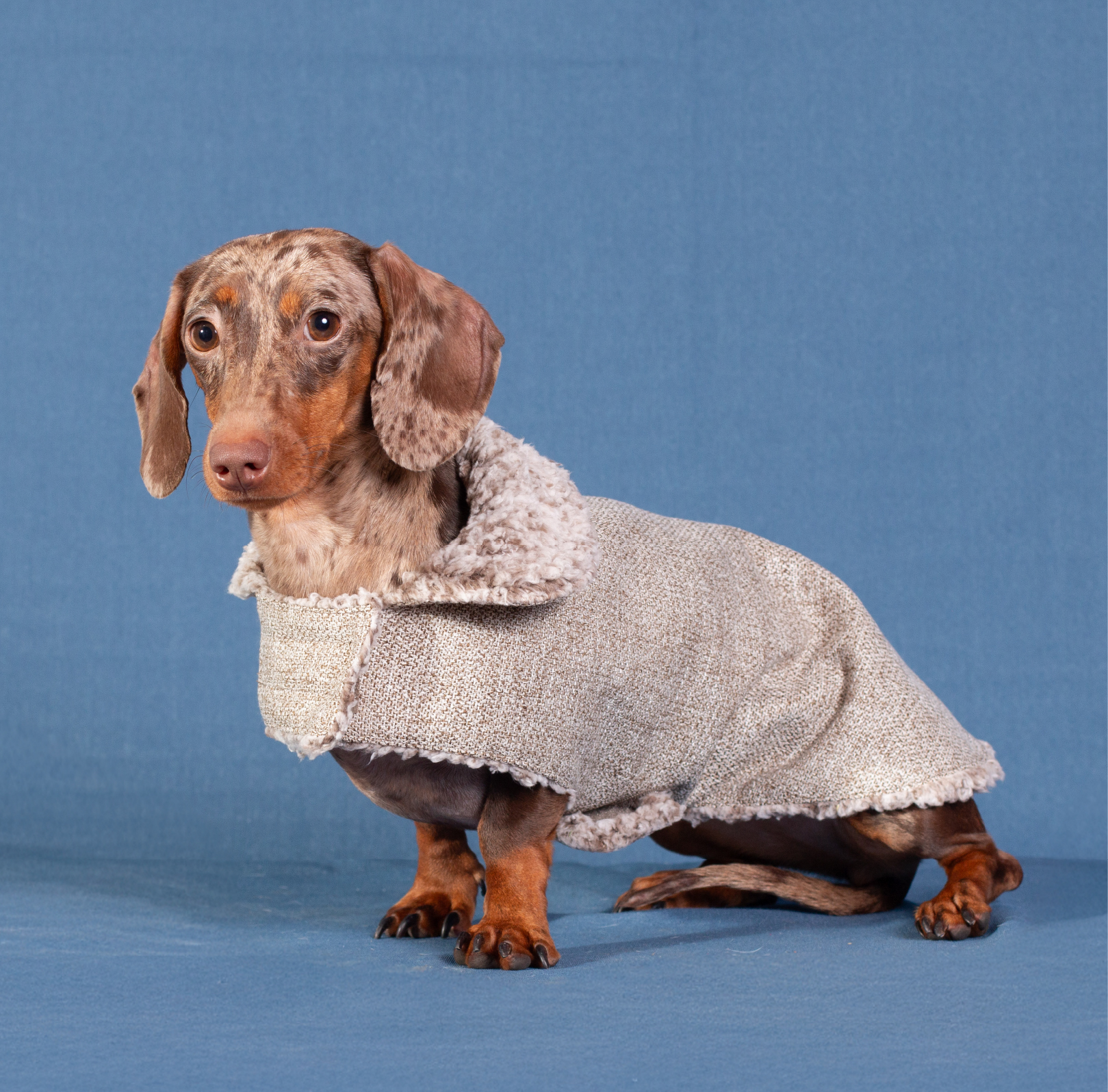 YAGU MODA ABRIGO CRUZADO TURRON