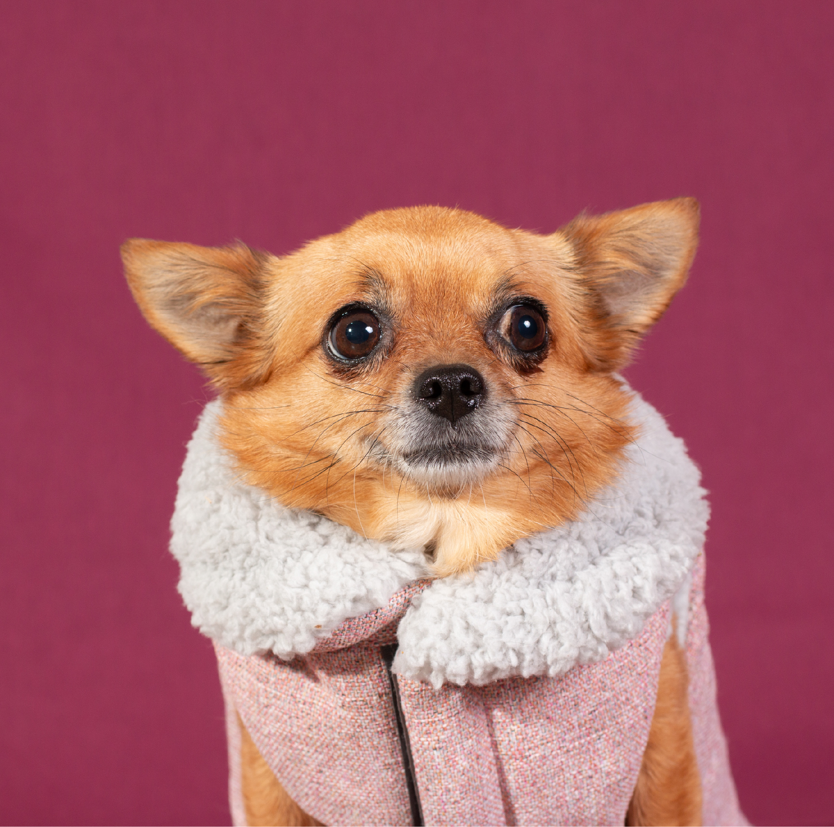 YAGU MODA BOMBER ROSA