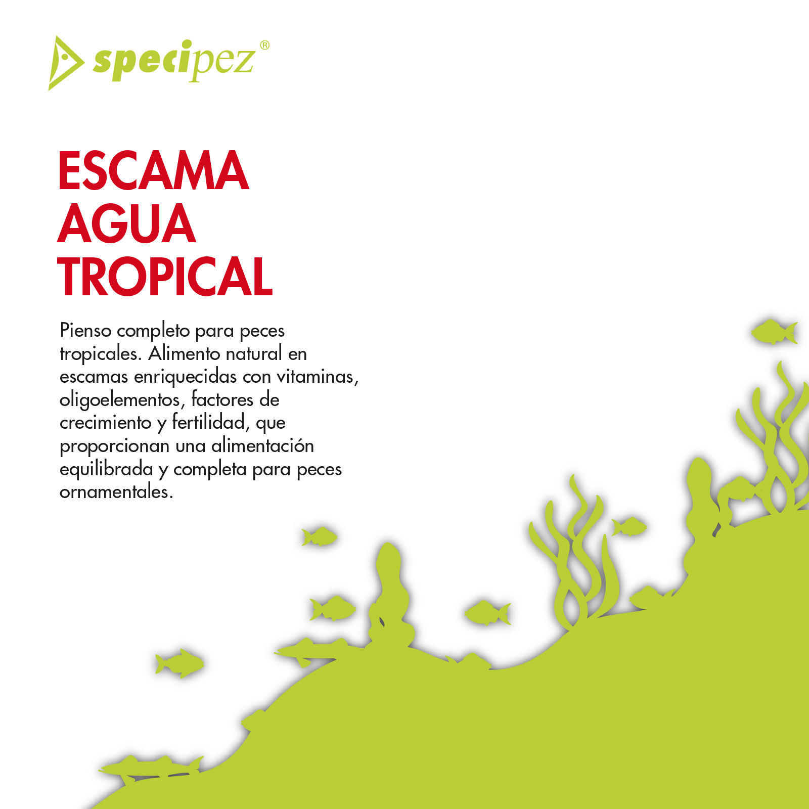 SPECIPEZ ESCAMA TROPICAL