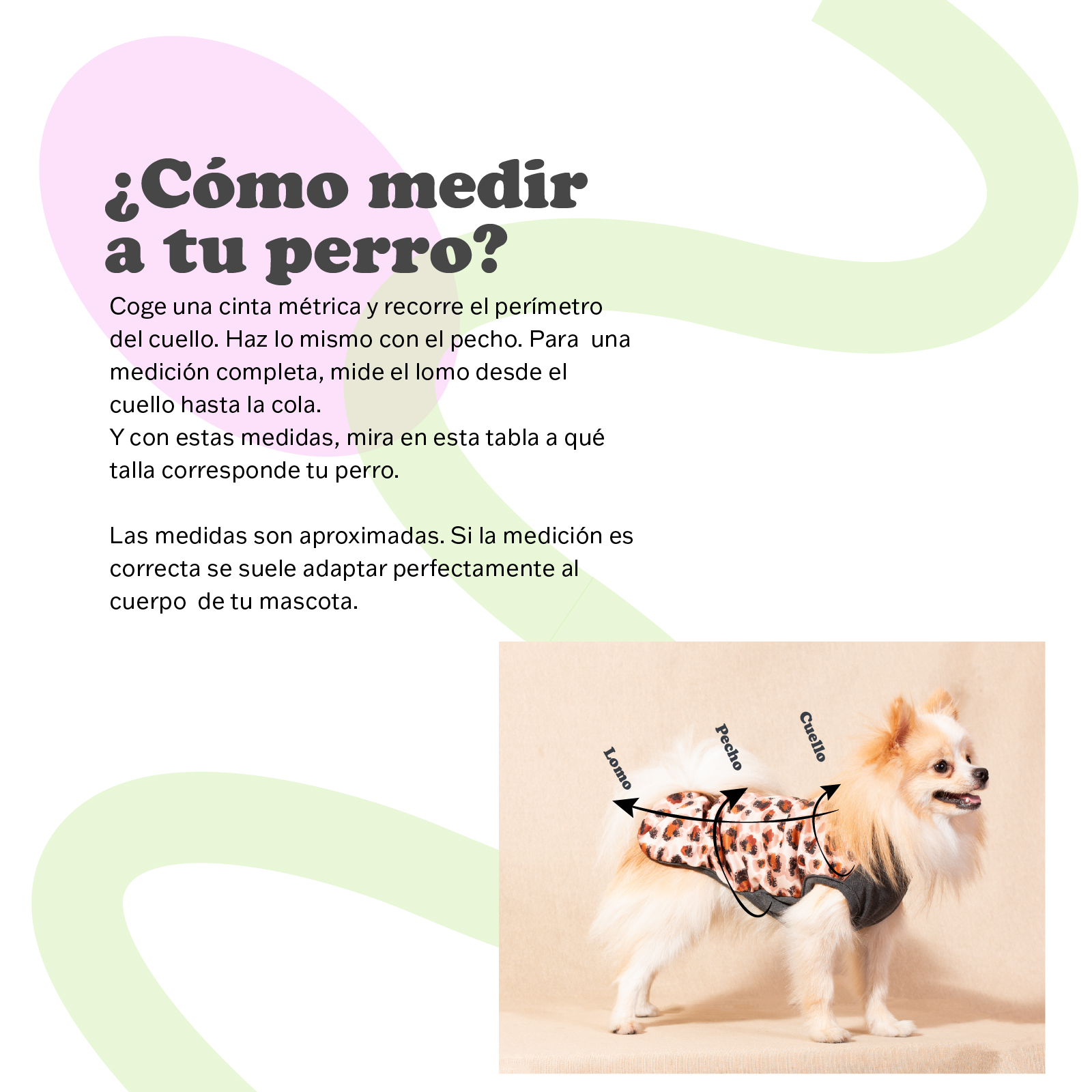 YAGU MODA IMPERMEABLE CONFETI