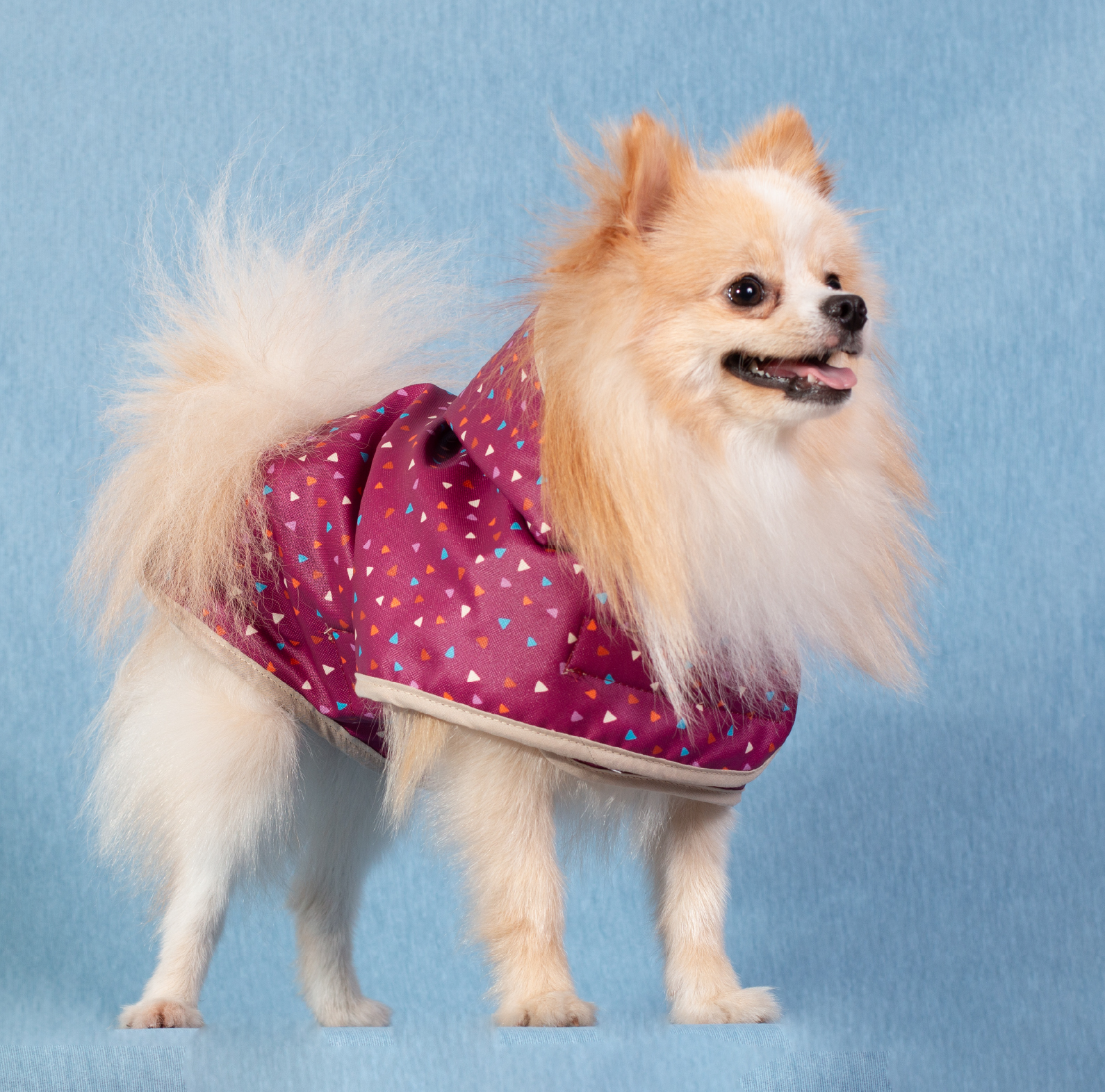 YAGU MODA IMPERMEABLE CHISPAS