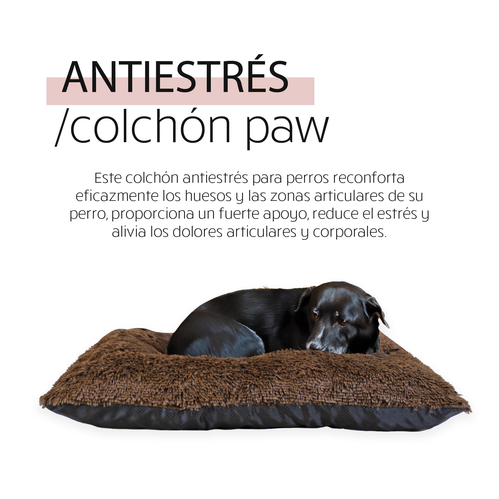 YAGU DESCANSO COLCHON PAW ANTIESTRES GRIS T-U  80 x 60 x 12 CM