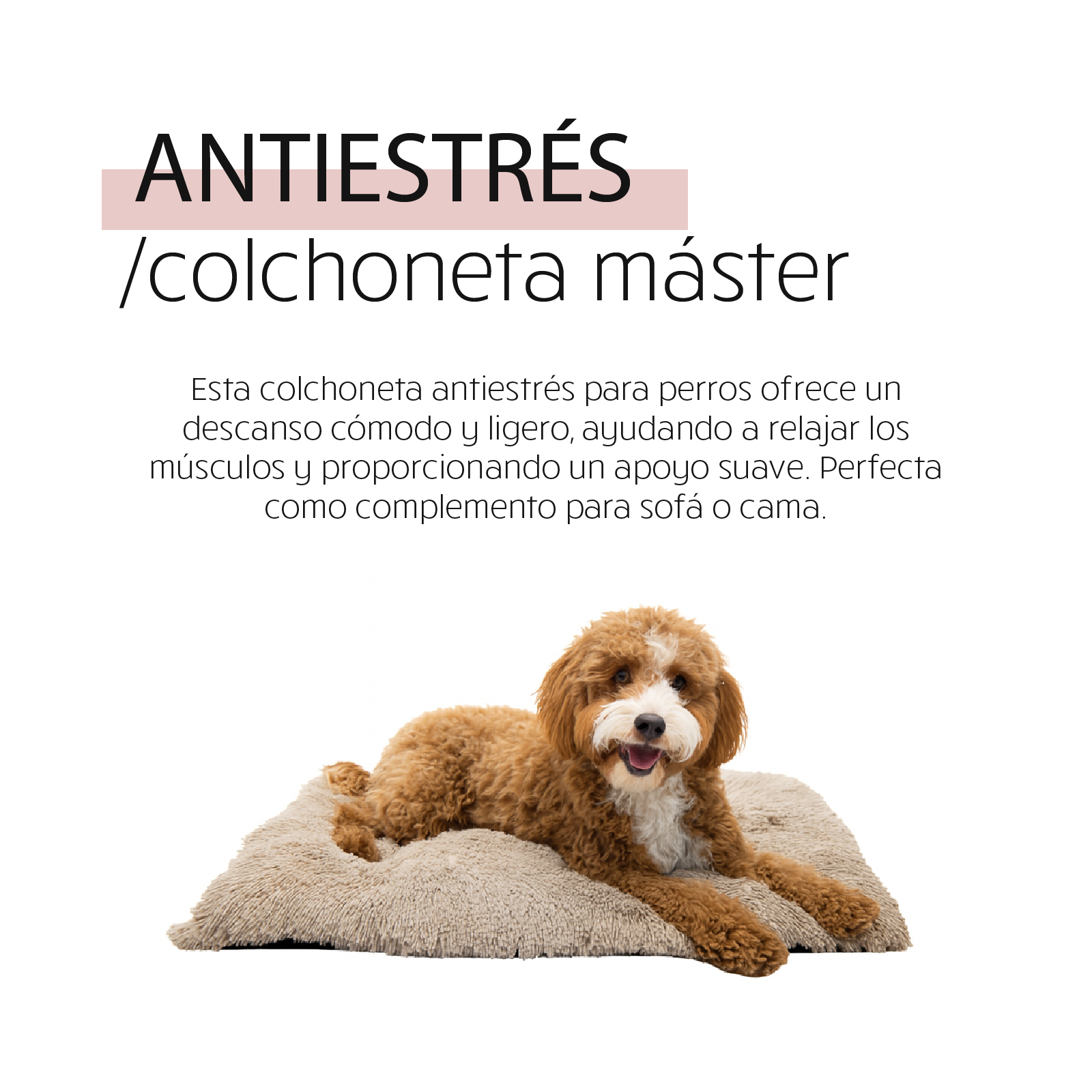 YAGU DESCANSO COLCHON MASTER ANTIESTRES BEIGE