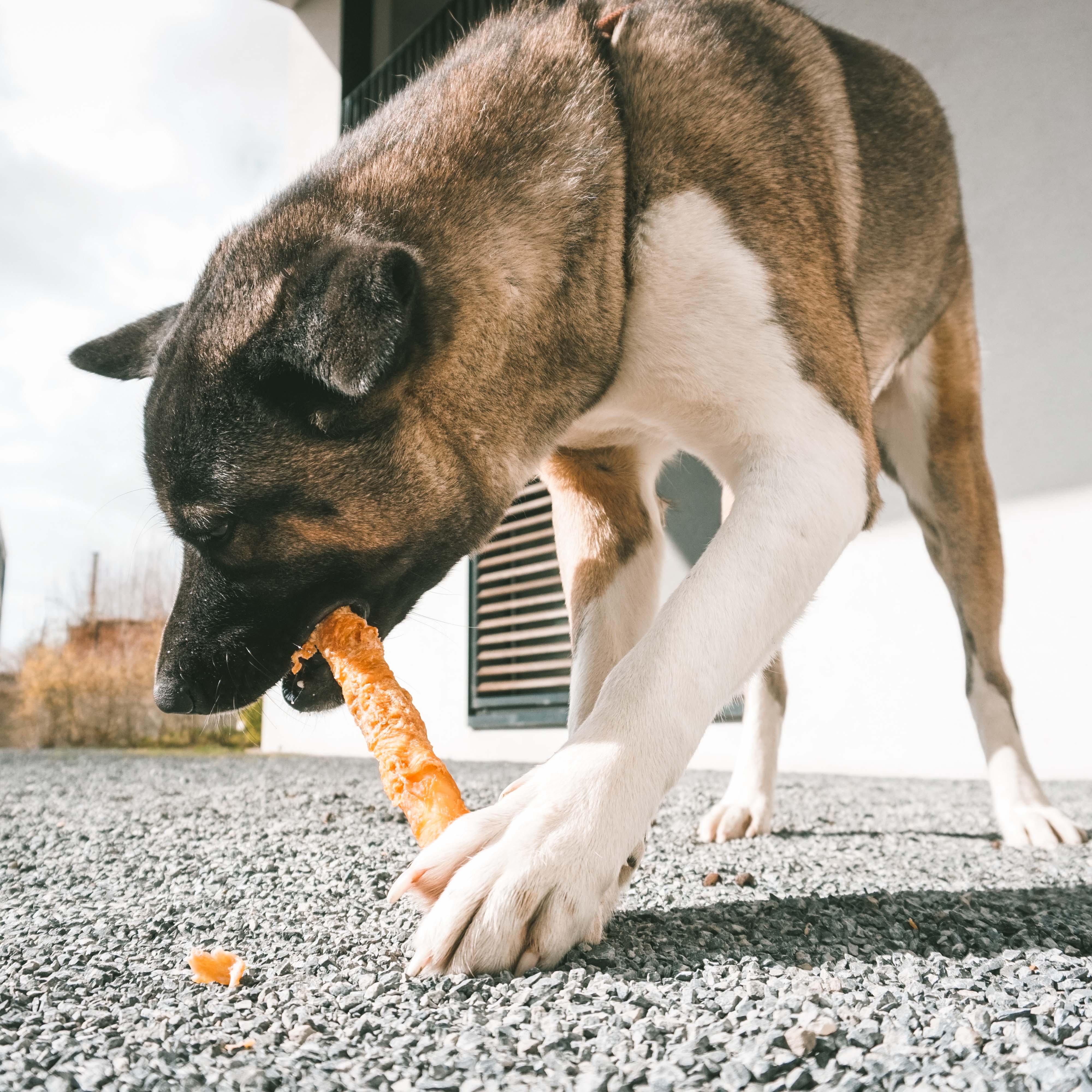 DUVO MEAT! PALOS DE POLLO Y PIEL NATURAL T-L 25 CM 122 GR