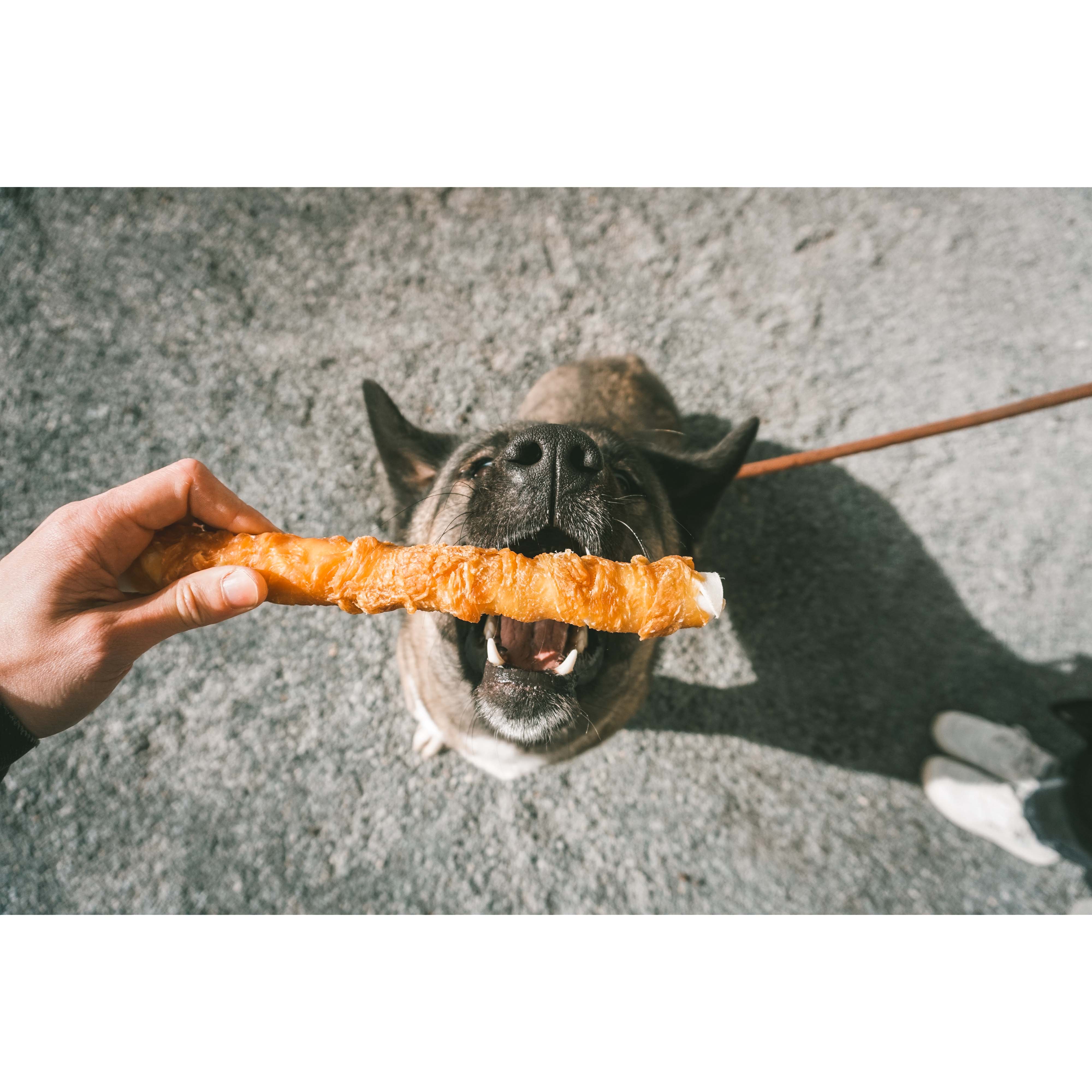 DUVO MEAT! PALOS DE POLLO Y PIEL NATURAL T-L 25 CM 1 KG