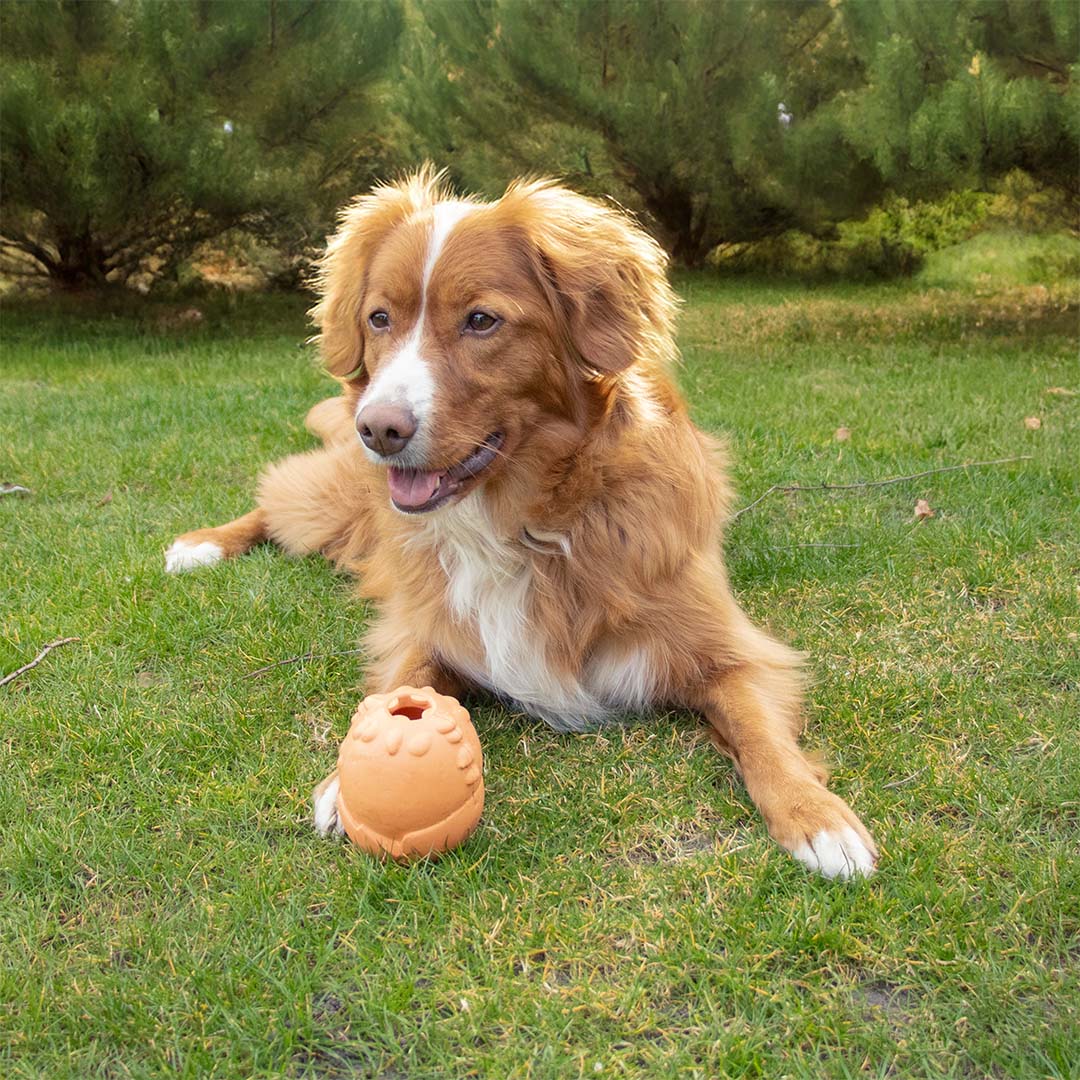 NEW DUVO JUGUETE PERRO GRRRIP IT NARANJA T-XS  7 x 5,6 x 5 CM <9 KG