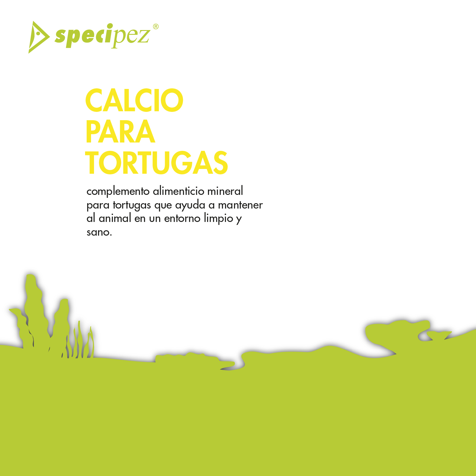 SPECIPEZ CALCIO TORTUGAS BACTERICIDA