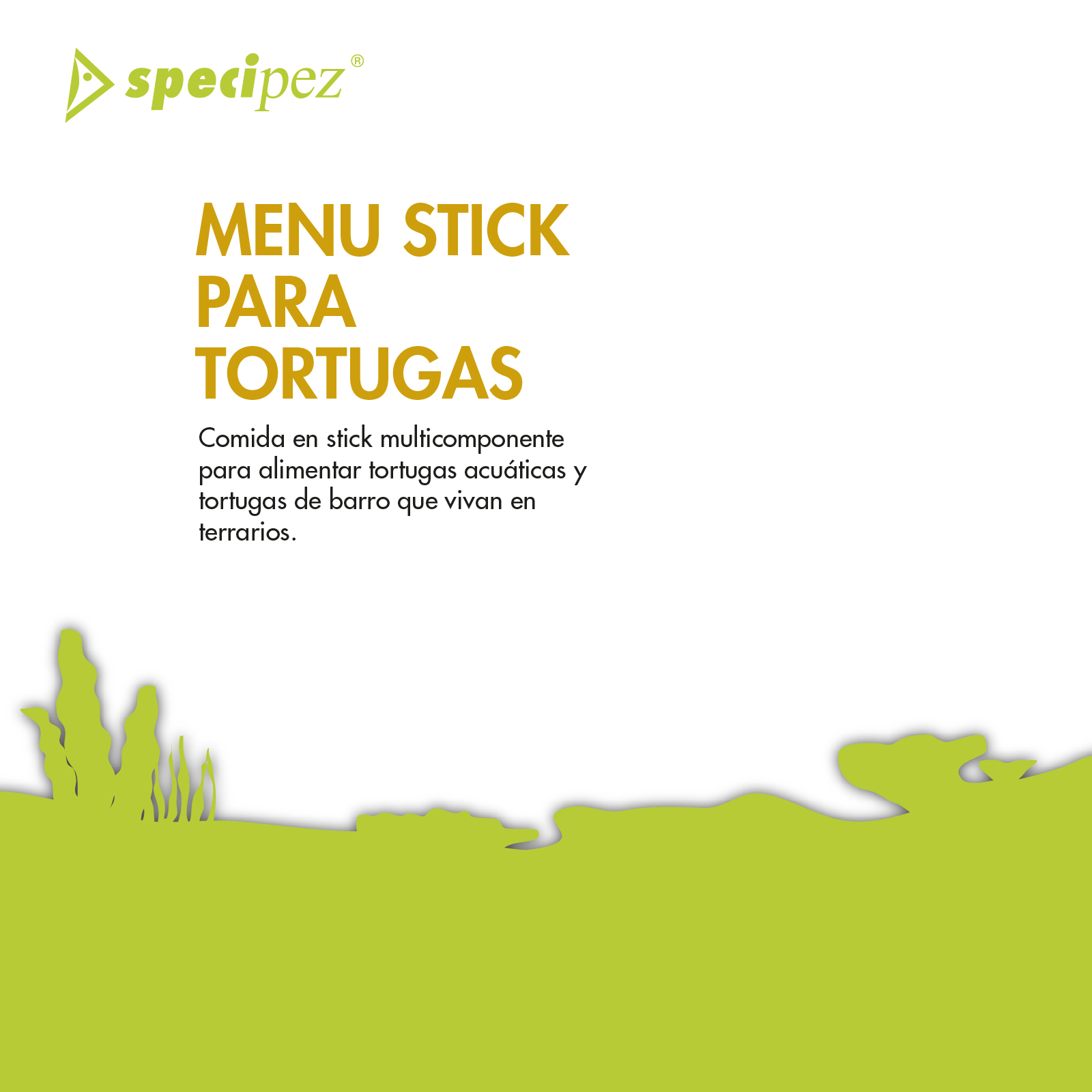 SPECIPEZ MENU DE TORTUGA