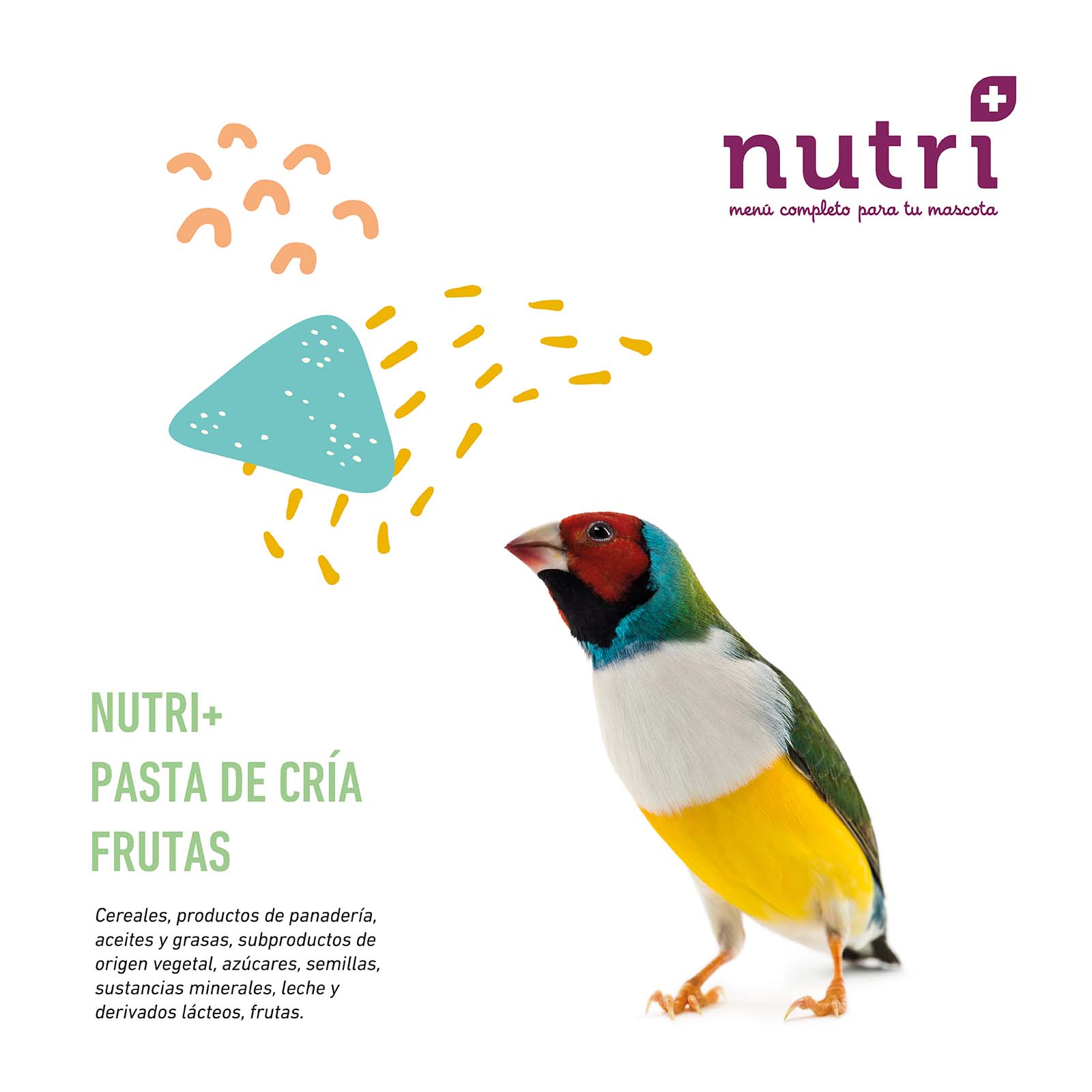 NUTRI+ AVES PASTA CRIA FRUTAS