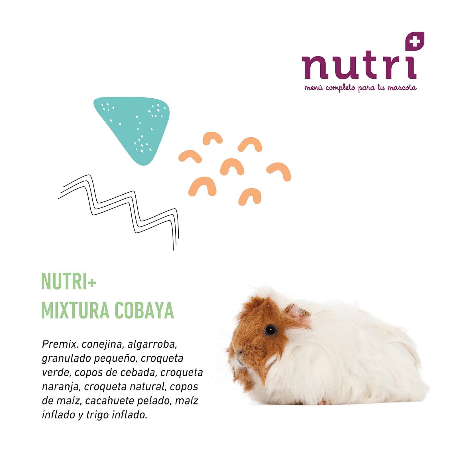 NUTRI+ ROEDORES MIXTURA COBAYA