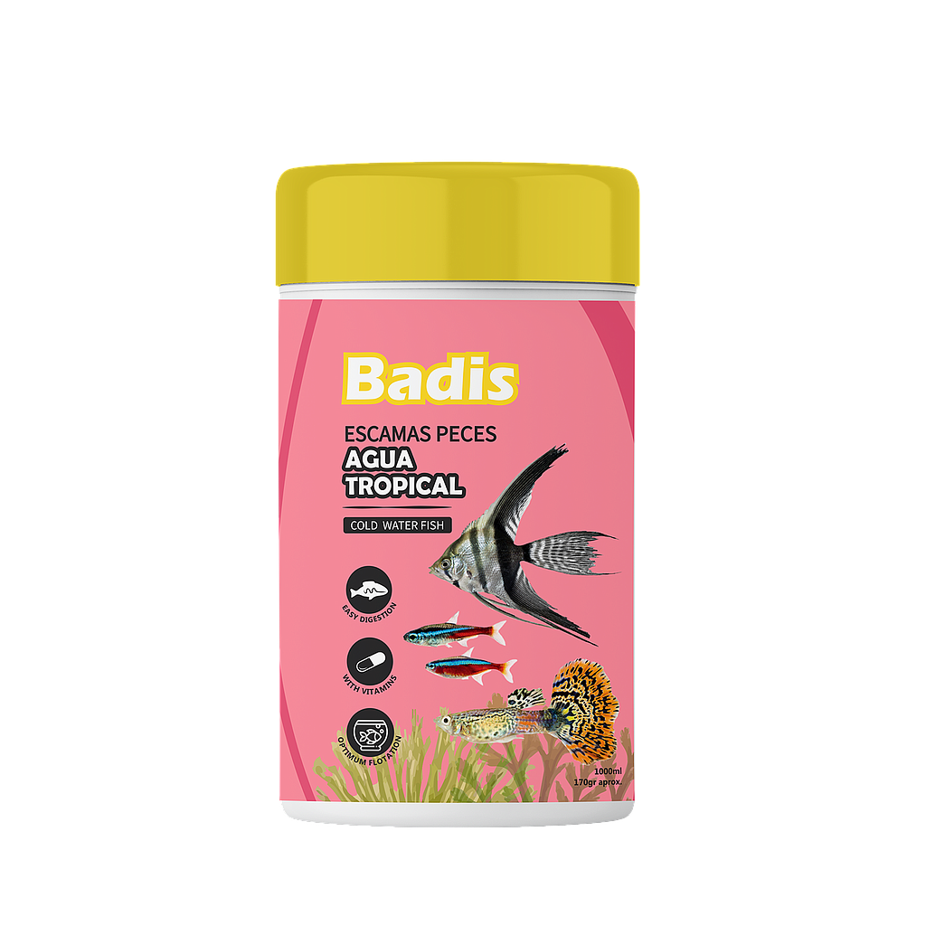 BADIS ESCAMA TROPICAL